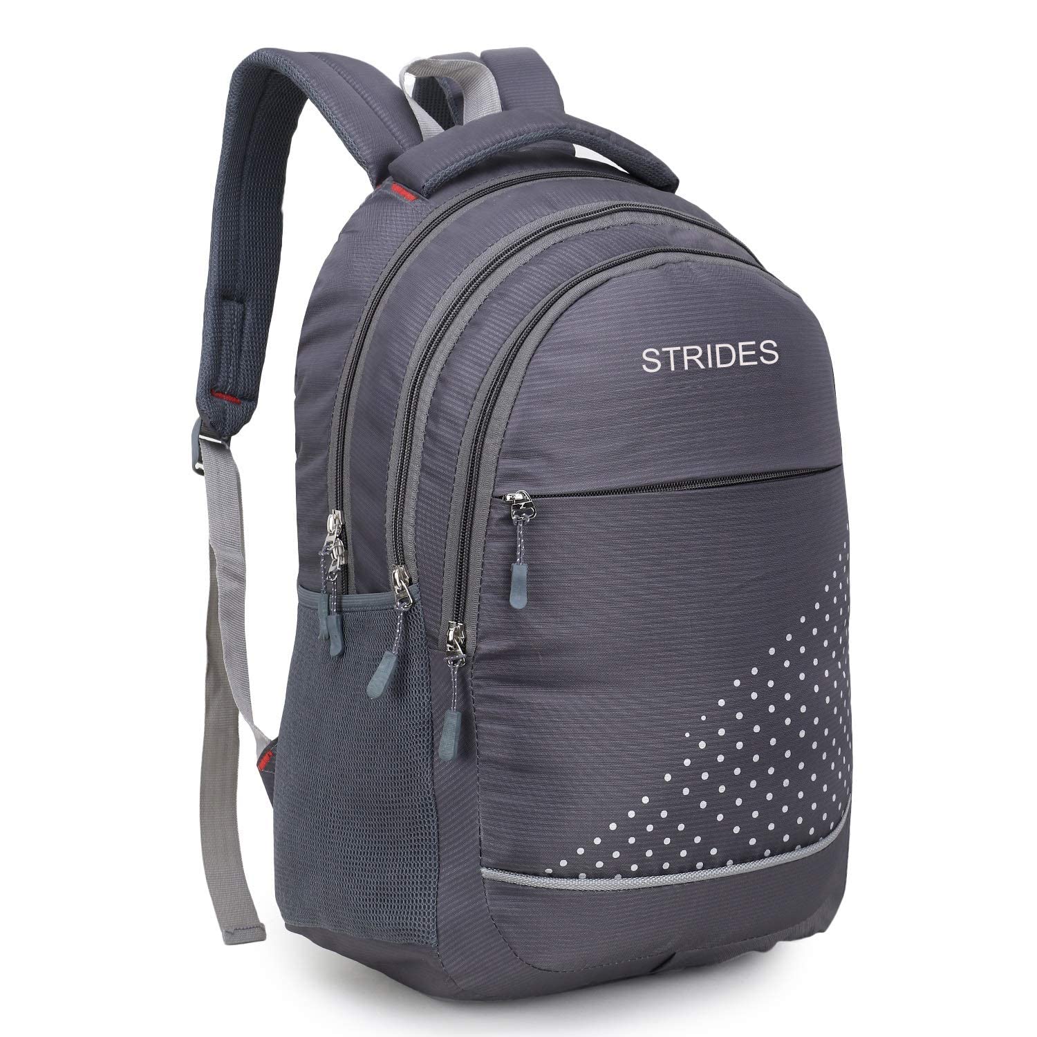 STRIDES 32L Backpack for Office, College & Travel - Durable Laptop Backpack with Spacious Compartment for Work, School & Outdoor Adventures