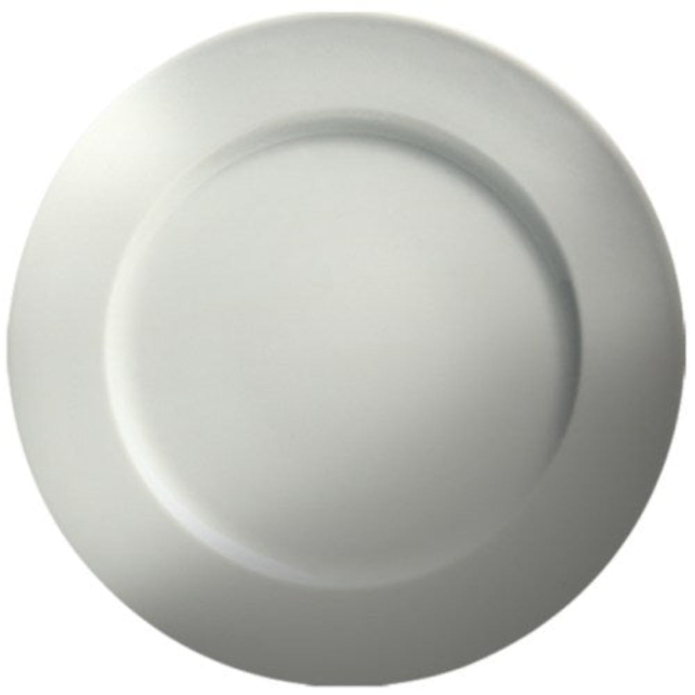 Cameo Dynasty 9-Inch Decorative Rim Plate - Elegant Dinnerware for Fine Dining, Wedding Receptions & Home Decor