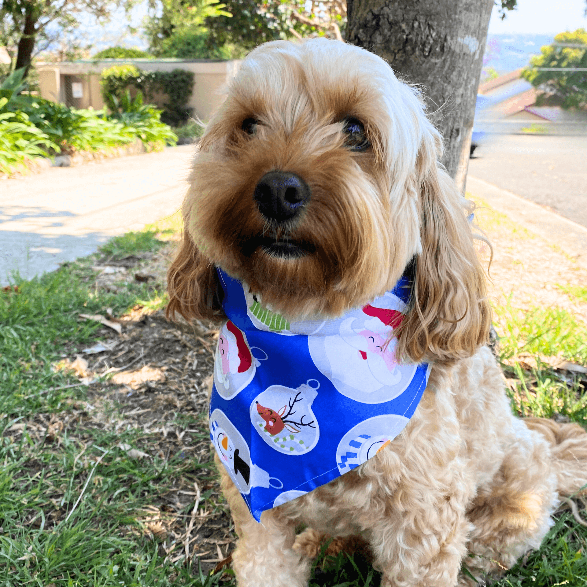Christmas Triangle Scarf Style Dog Bandana - Festive Holiday Pet Accessory for Dogs - Perfect for Christmas Photos, Parties & Gifts