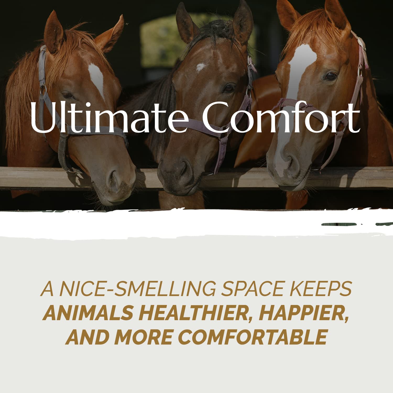 Premium French Hemp Bedding - 44lb Jumbo Bulk Bag | Ultra Low Dust Wood Shavings for Horses, Chickens, Small Pets (Rats, Guinea Pigs, Rabbits) & Reptiles | Ideal for Chicken Coops, Stables & Small Animal Cages | Natural, Absorbent & Odor Control Pet Bedding