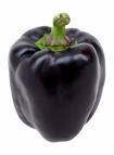 Sweet Purple Beauty Bell Pepper Seeds - Non-GMO Heirloom Variety (Pack of 1,000) for Home Gardening, Urban Farming & Organic Vegetable Growing
