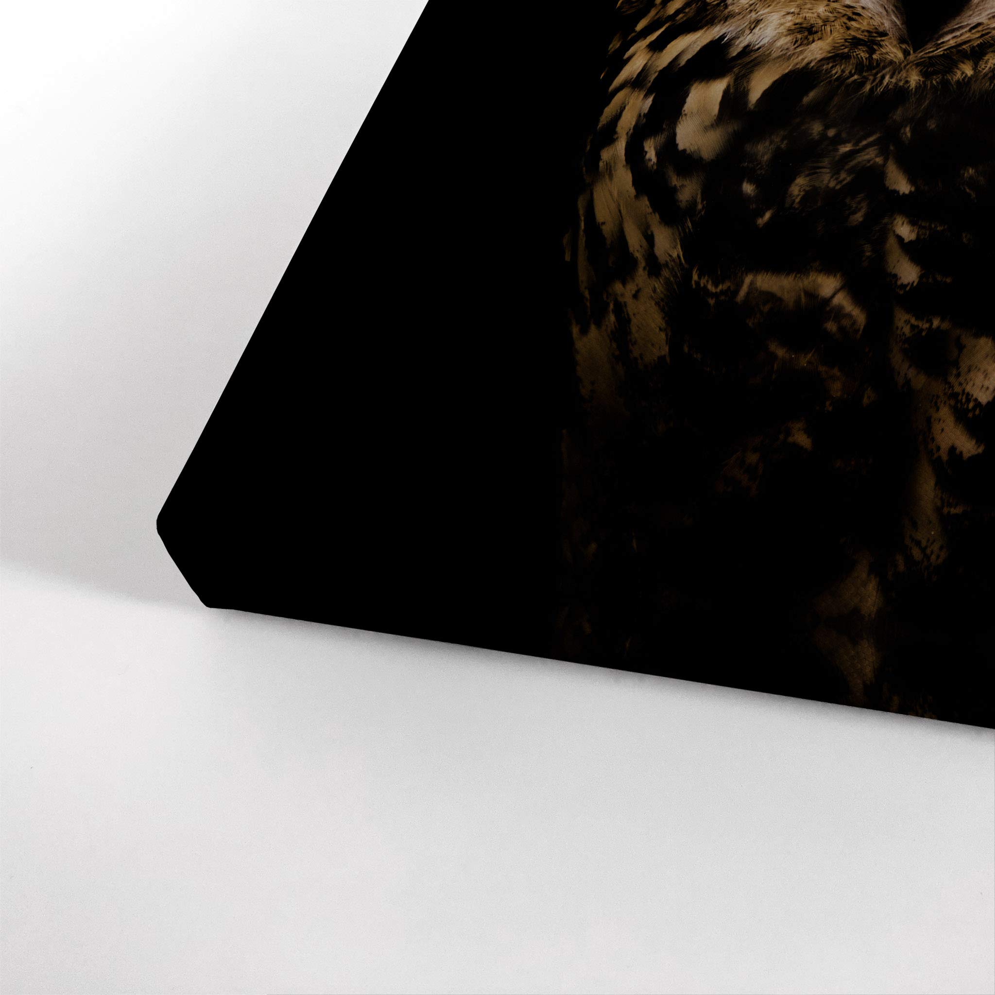 Owl Portrait Canvas Print - Black Wild Woodland Animal Wall Art for Home & Office Decor | Nature African Safari Wildlife Painting | Perfect for Bedroom, Nursery & Kids Room (36x24 Inches)