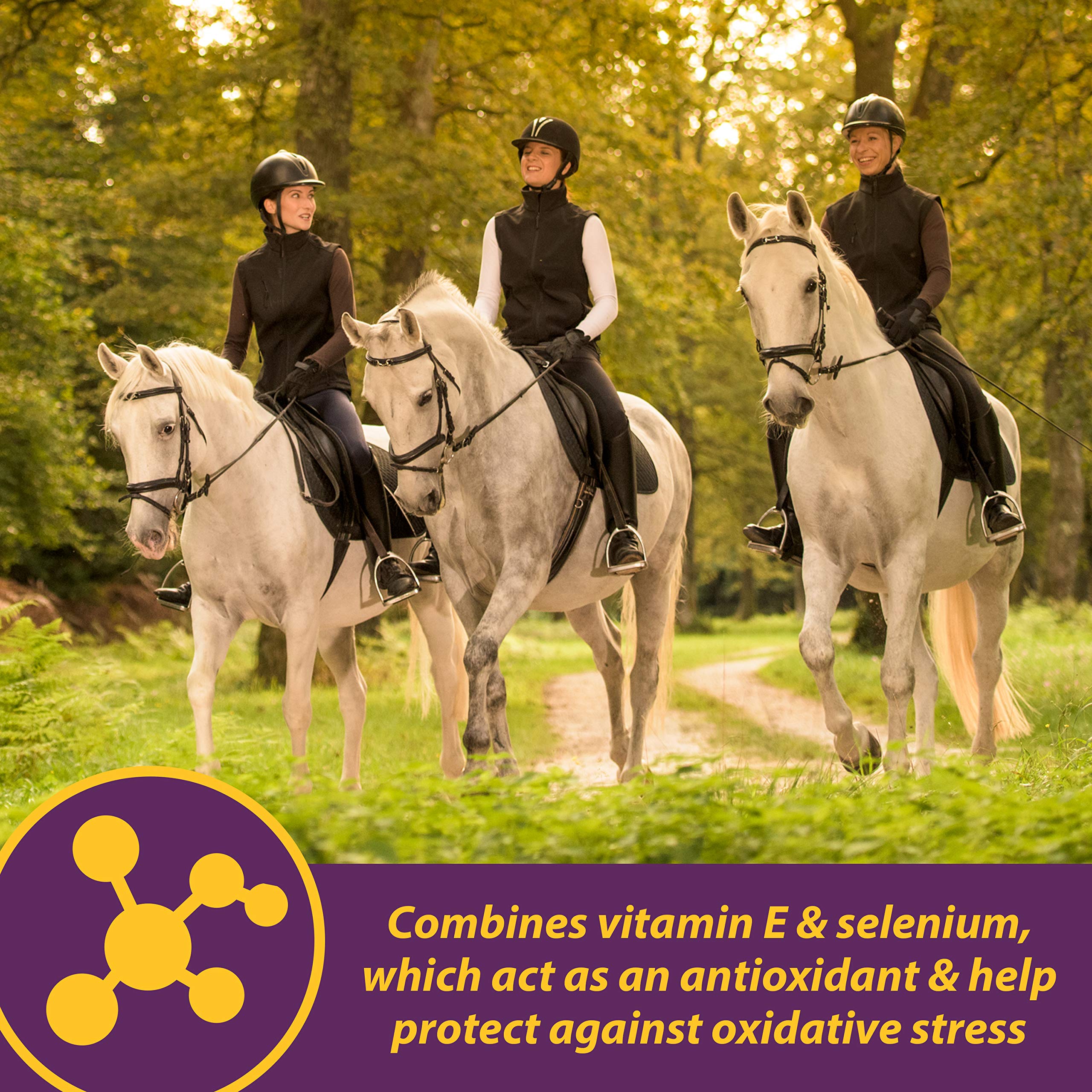 Farnam Horse Health Vita E & Selenium Crumbles - Vitamin Supplement for Horses, 20 lbs (640 Day Supply) - Supports Muscle Health & Antioxidant Protection - Ideal for Performance Horses, Breeding Mares & Senior Equine Care