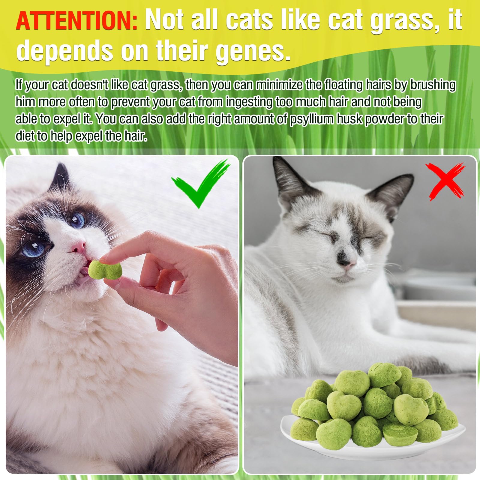 Organic Cat Grass Teething Sticks for Kittens & Adult Cats - 3.52Oz Freeze-Dried Edible Cat Treats for Hairball Control & Dental Health - Perfect for Indoor Cats, Teething Kittens & Digestive Support