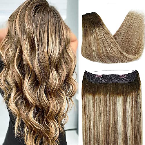 Chocolate Brown to Light Brown and Bleach Blonde T4/P10/613