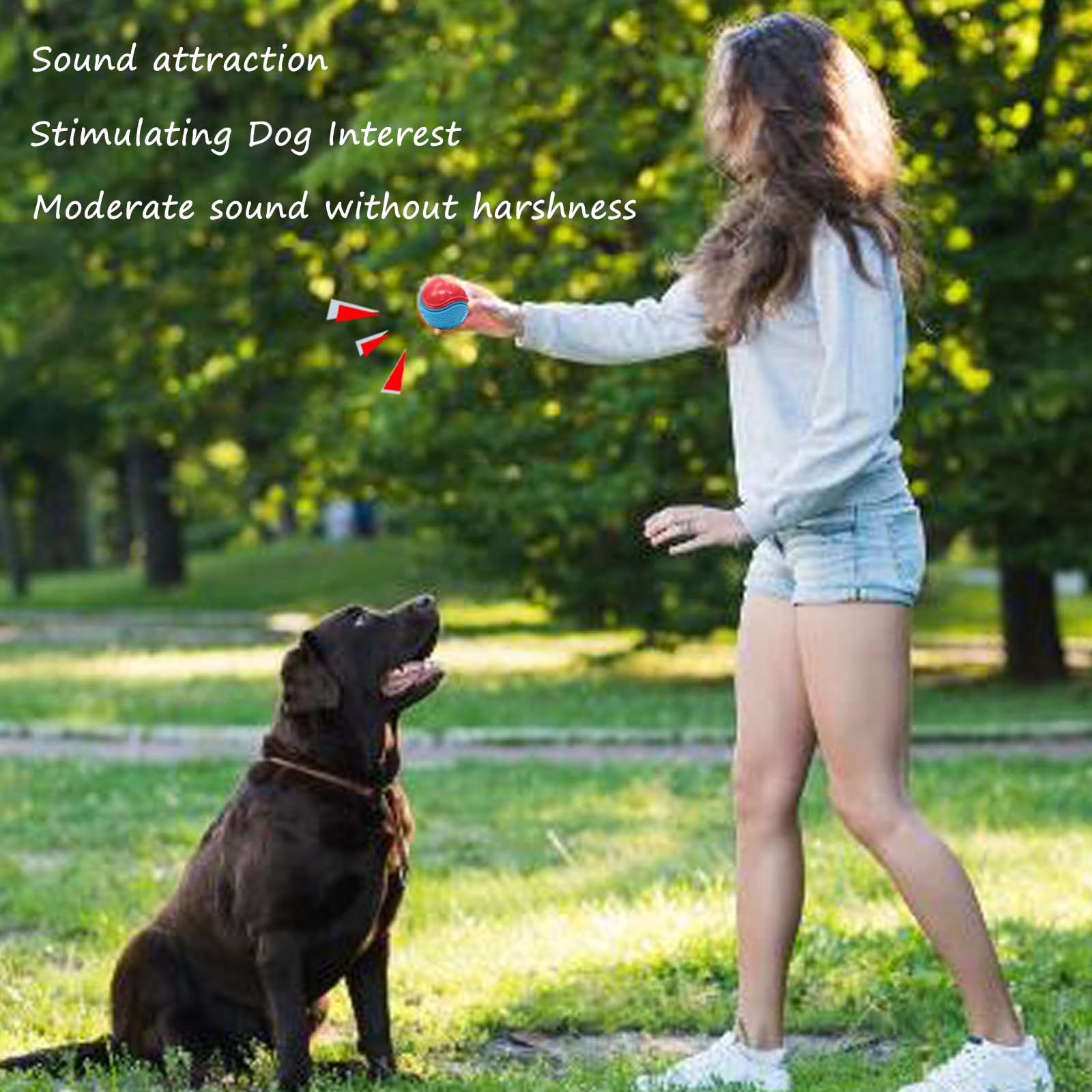 Irunfast 6 Pack Dog Chew Toys - Durable Squeaky Balls for Puppy Teeth Cleaning, Interactive Pet Training & Playtime | Indestructible Dog Ball for Fetch, Tug of War & Outdoor Activities