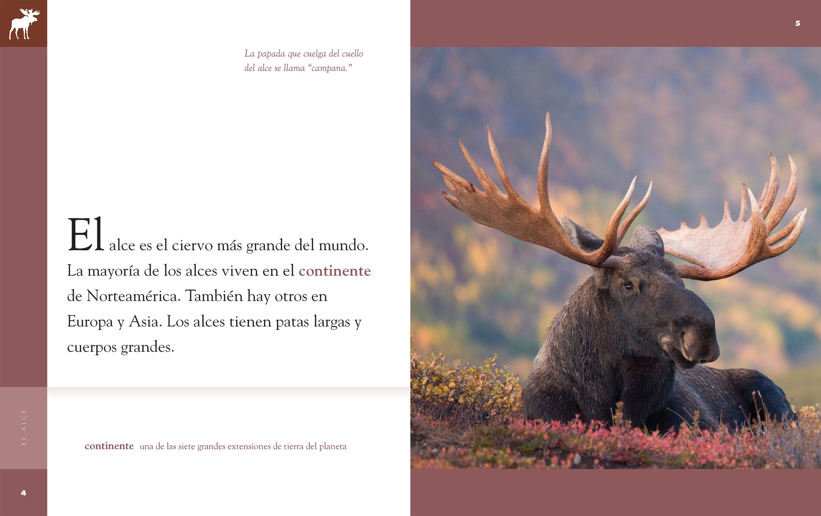 El Alce 9781640264694 - Wildlife Animal Book for Kids, Educational Nature Reading - Perfect for Classroom Learning & Home Schooling