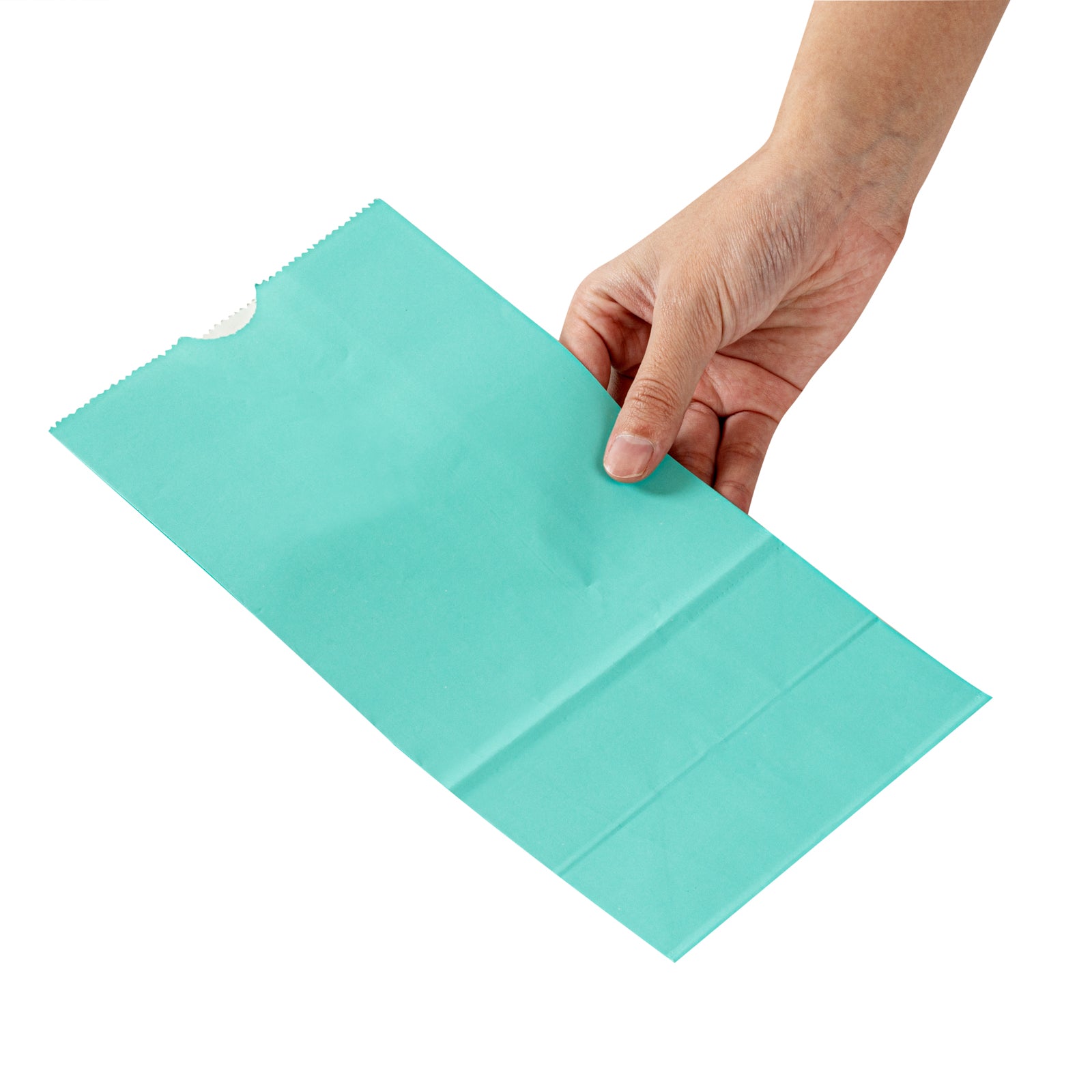 Premium Turquoise Paper Bags - 4 lb Capacity, 5 x 3.25 x 9.5 Inches - Pack of 100 - Perfect for Gift Wrapping, Party Favors & Retail Packaging