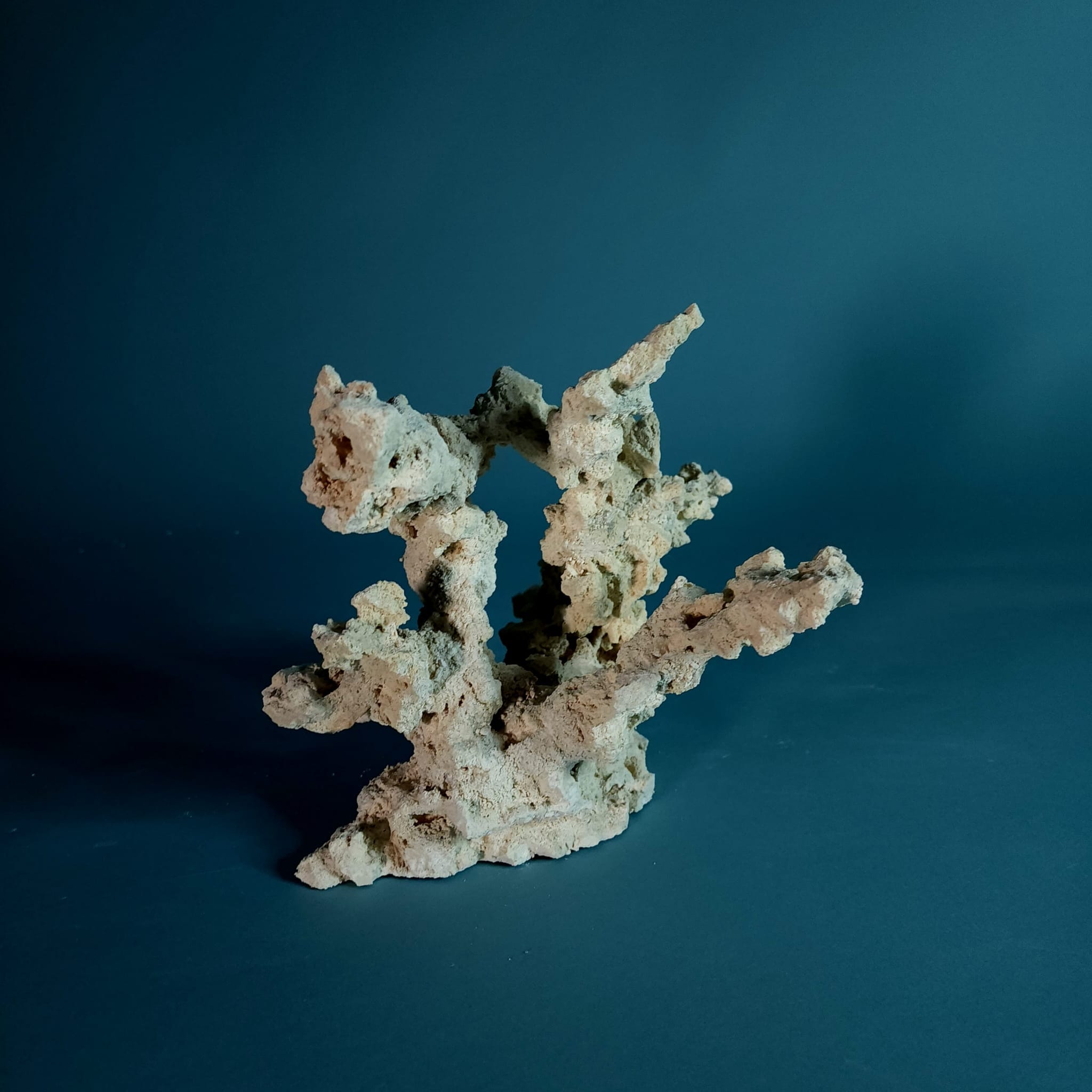 Premium Custom Dry Live Rock for Aquascaping - Natural Reef Aquarium Decor #03 | Perfect for Saltwater Tanks, Coral Propagation & Marine Habitat Setup