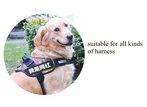 Reflective Dog Patches with Hook Backing - Service Dog, Emotional Support, Therapy Dog Training Patches for Vests, Harnesses & Collars | High Visibility Safety Gear for Night Walks and Outdoor Adventures