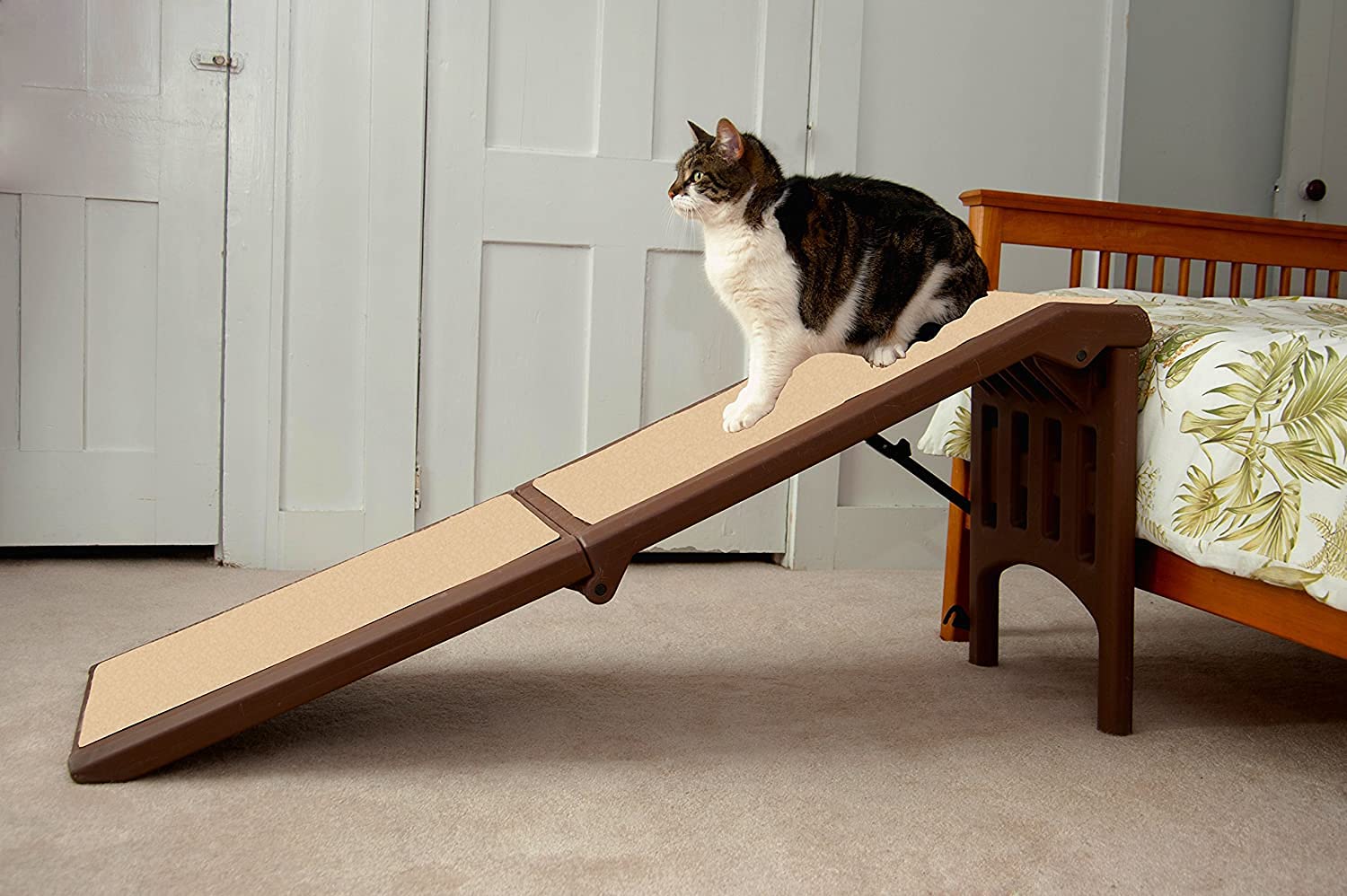 Pet Gear Free Standing Pet Ramp for Cats & Dogs - No Assembly Required, Foldable & Portable for Easy Storage & Travel - 6 Size Options - Perfect for Home, Car & Vet Visits