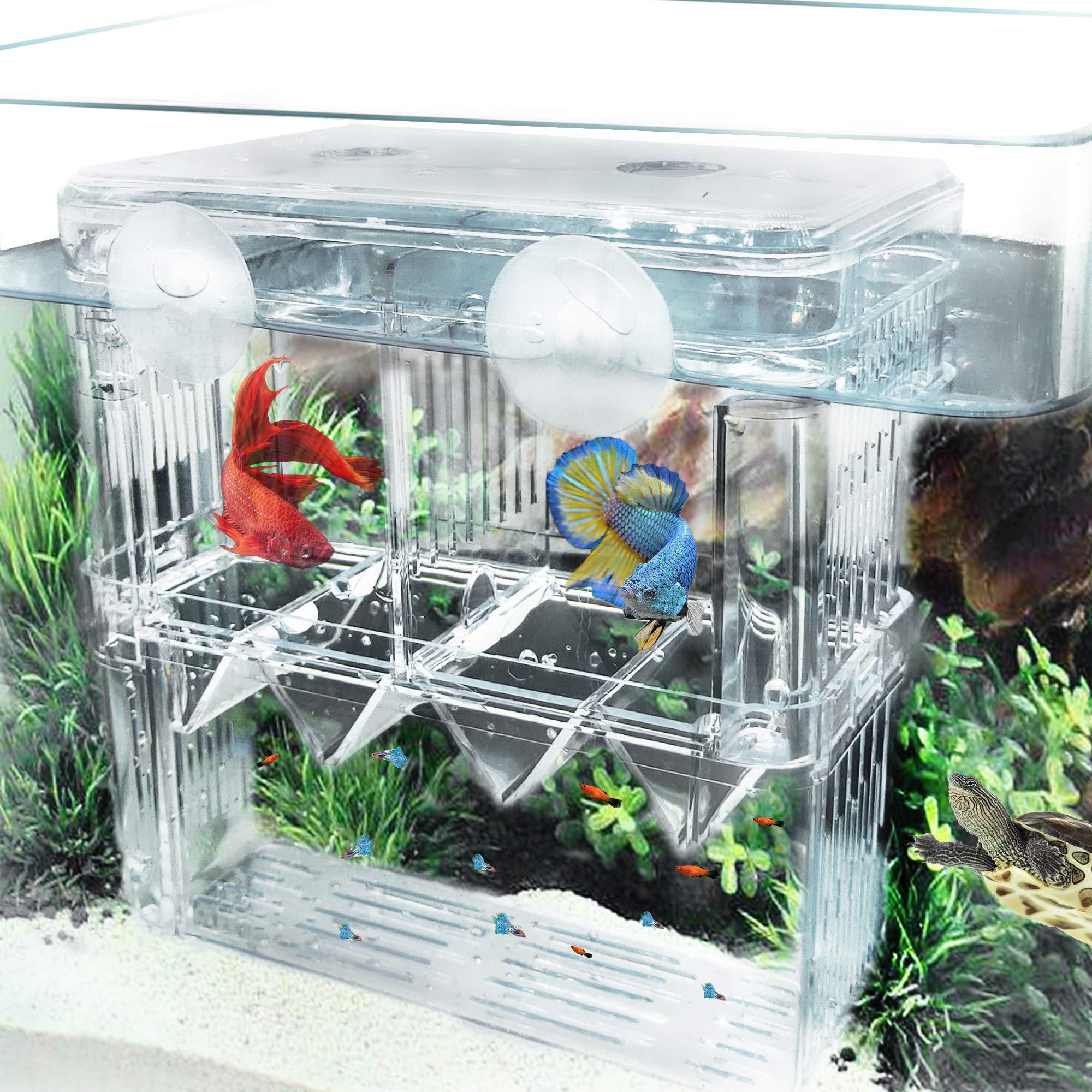 Acrylic Fish Breeding Box with Suction Cups - Aquarium Hatchery Incubator & Breeder Isolation Divider for Guppies, Betta, Shrimp - Perfect for Fish Tank Hatching and Fry Protection