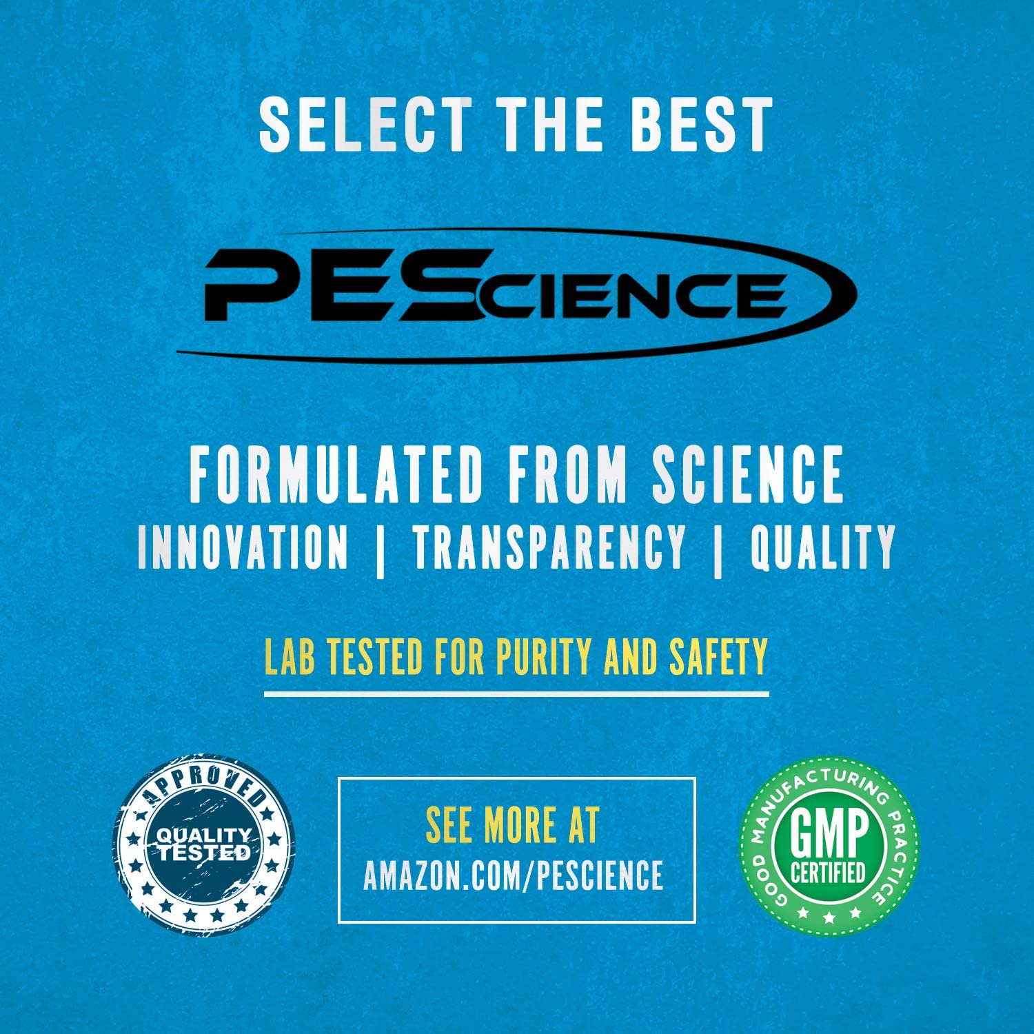 PEScience Select Protein4Oats - Maple Brown Sugar Flavor, 12 Servings, Whey & Casein Protein Blend for Oatmeal - Perfect for Breakfast, Post-Workout Recovery & Healthy Snacking