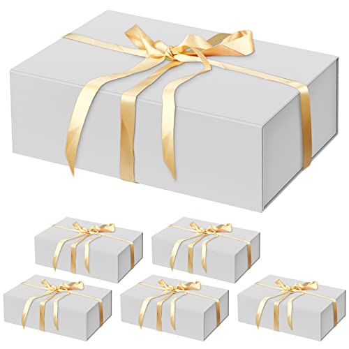 6 Pack Silver-13.8x9x4.3