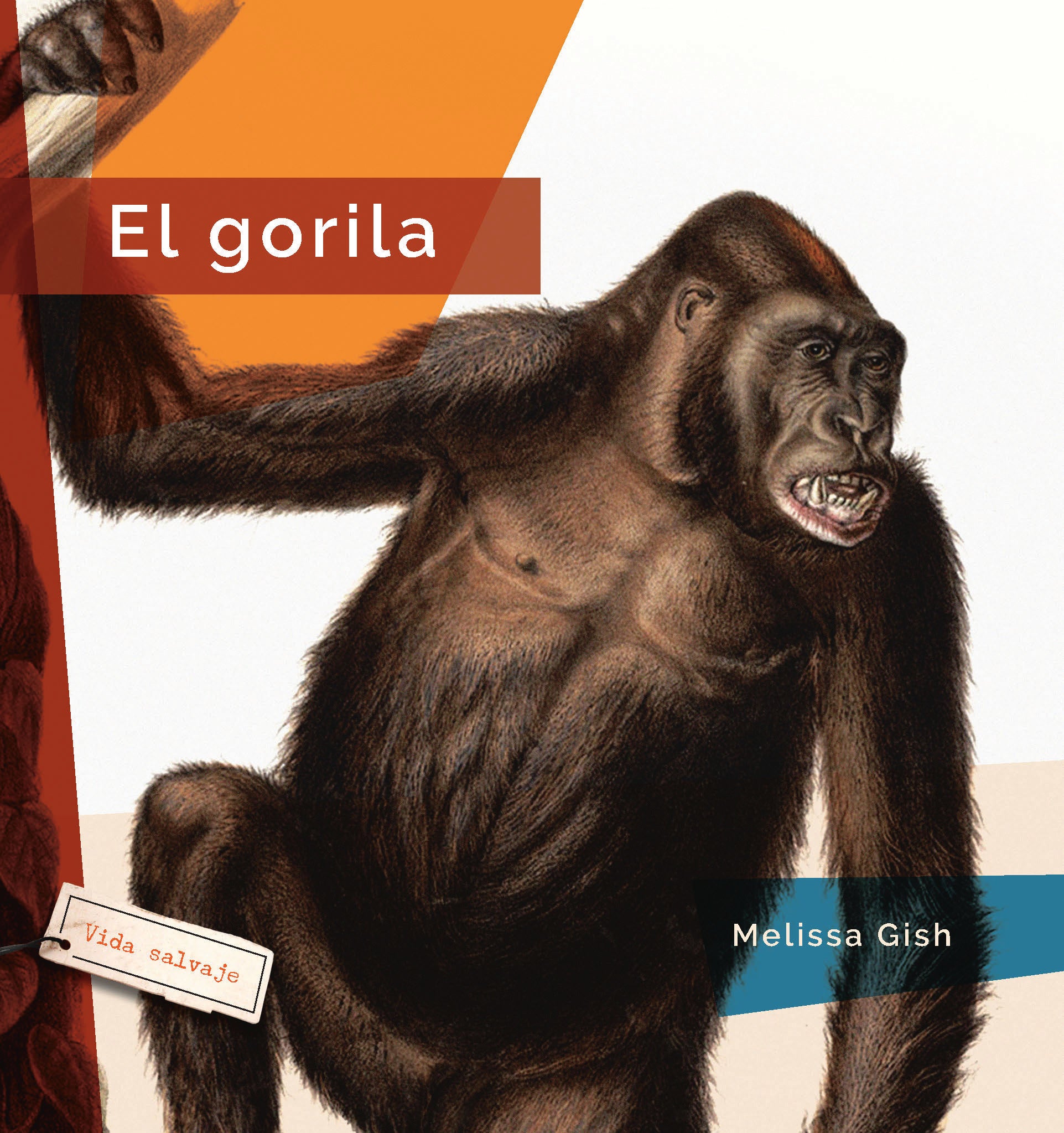 El Gorila Book 9781640267428 - Wildlife Adventure Novel for Nature Lovers & Book Clubs