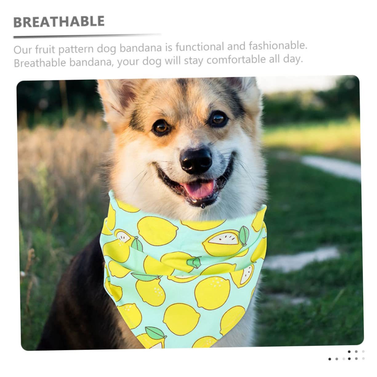 SUPVOX Dog Birthday Party Supplies - Triangle Bandana with Fruit Design for Pets - Perfect for Birthday Celebrations, Pet Parties & Fun Photo Shoots