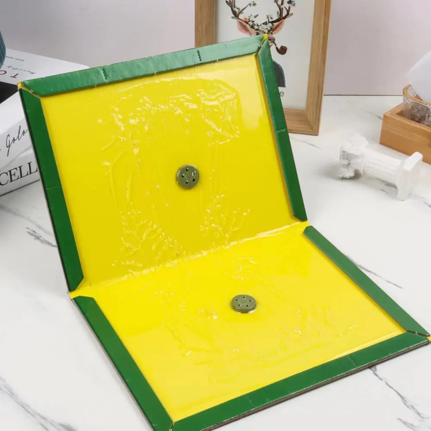 Green & Yellow Sticky Insect Traps for Indoor & Outdoor Use - Large 6.5 x 8 Inch Fly Catcher Glue Boards (Pack of 5) - Perfect for Garden, Greenhouse, and Home Pest Control