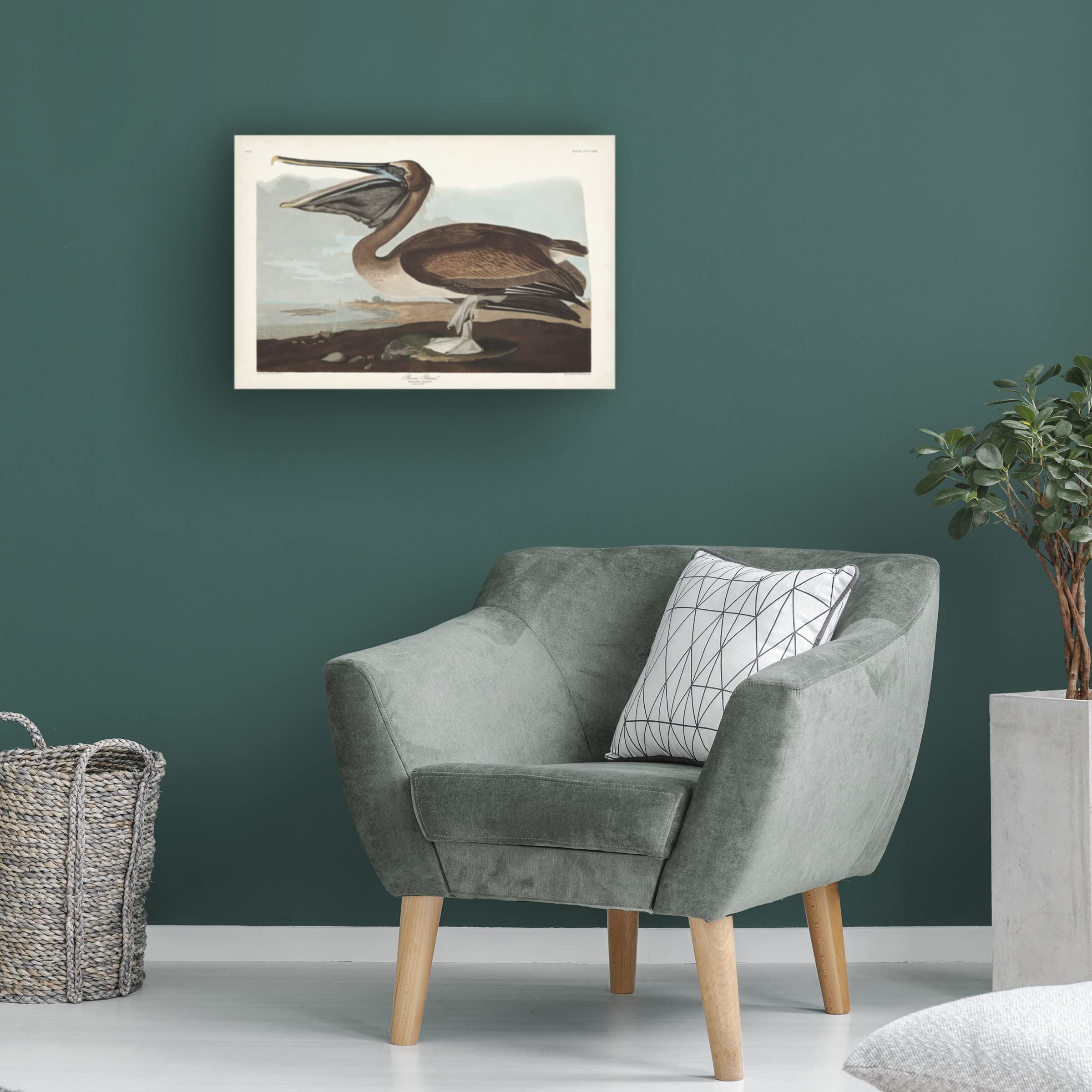 John James Audubon Brown Pelican Canvas Art Print 12x19 - Wildlife Bird Wall Decor for Living Room, Office & Coastal Home Decor