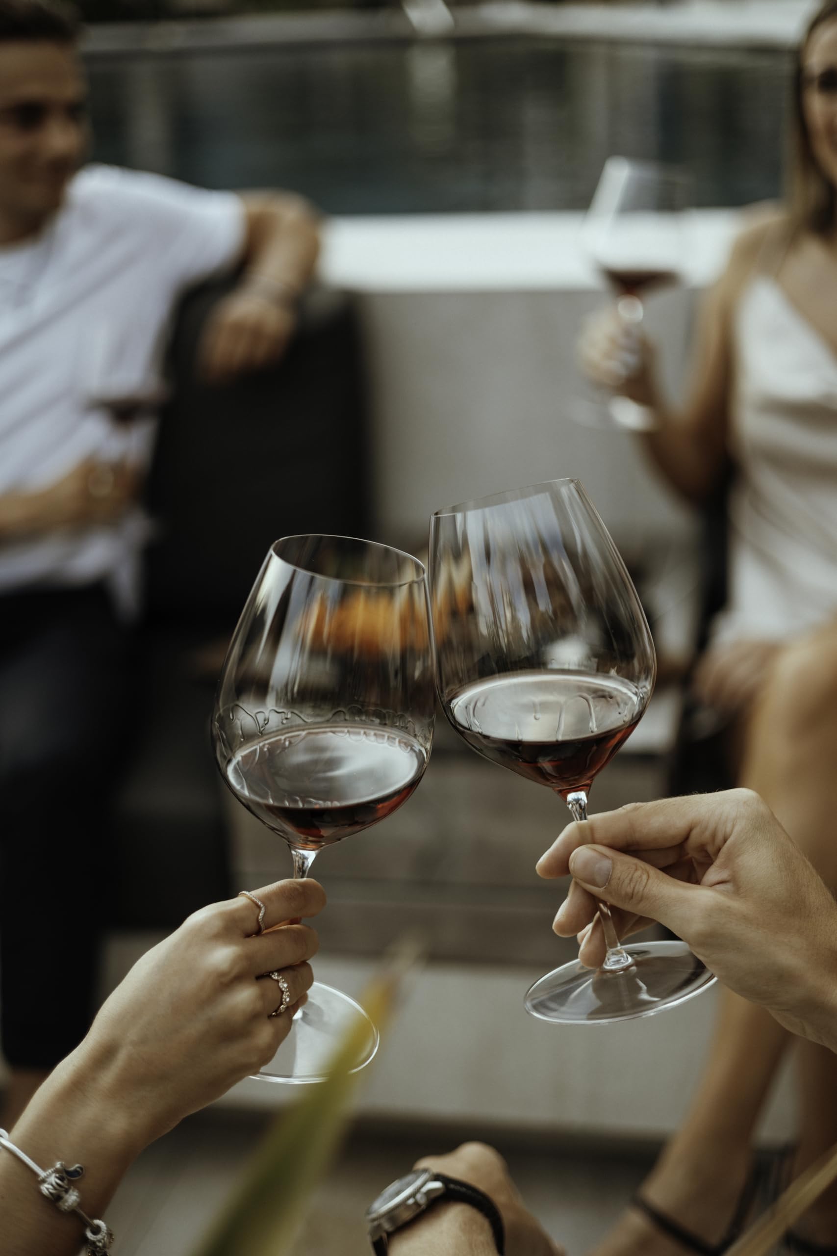 Premium Riedel Performance Cabernet Wine Glasses Set of 2 - Crystal Clear Stemware for Red Wine Tasting & Fine Dining - Perfect for Gifts, Dinner Parties & Wine Enthusiasts