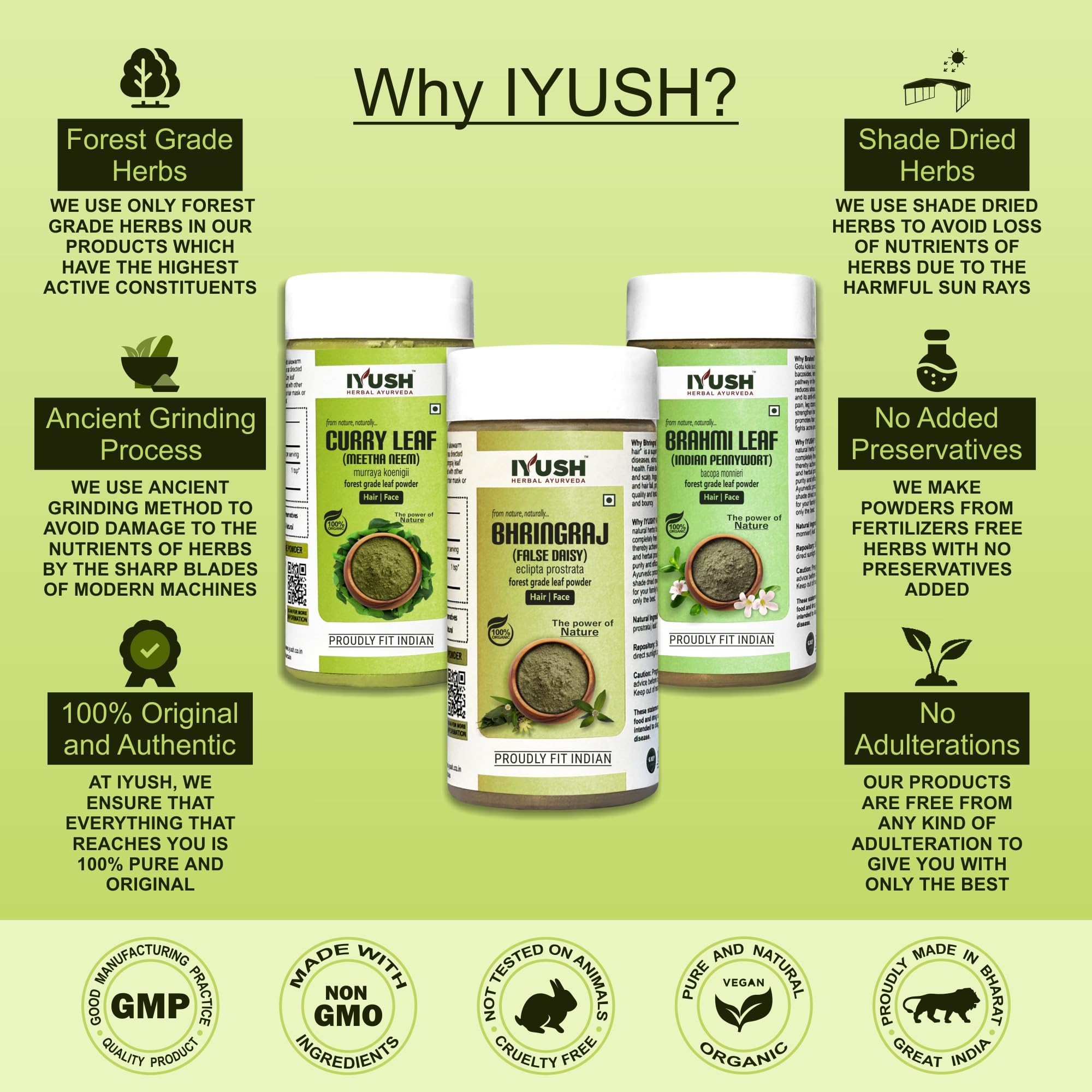 Organic Ayurvedic Curry Leaves Powder with Brahmi & Bhringraj for Hair Growth - 300g Herbal Hair Mask | Natural Treatment for Dry, Frizzy Hair & Volume Boost | Hair Care Powder for Stronger, Healthier Hair | Perfect for DIY Hair Masks & Scalp Treatments at Home