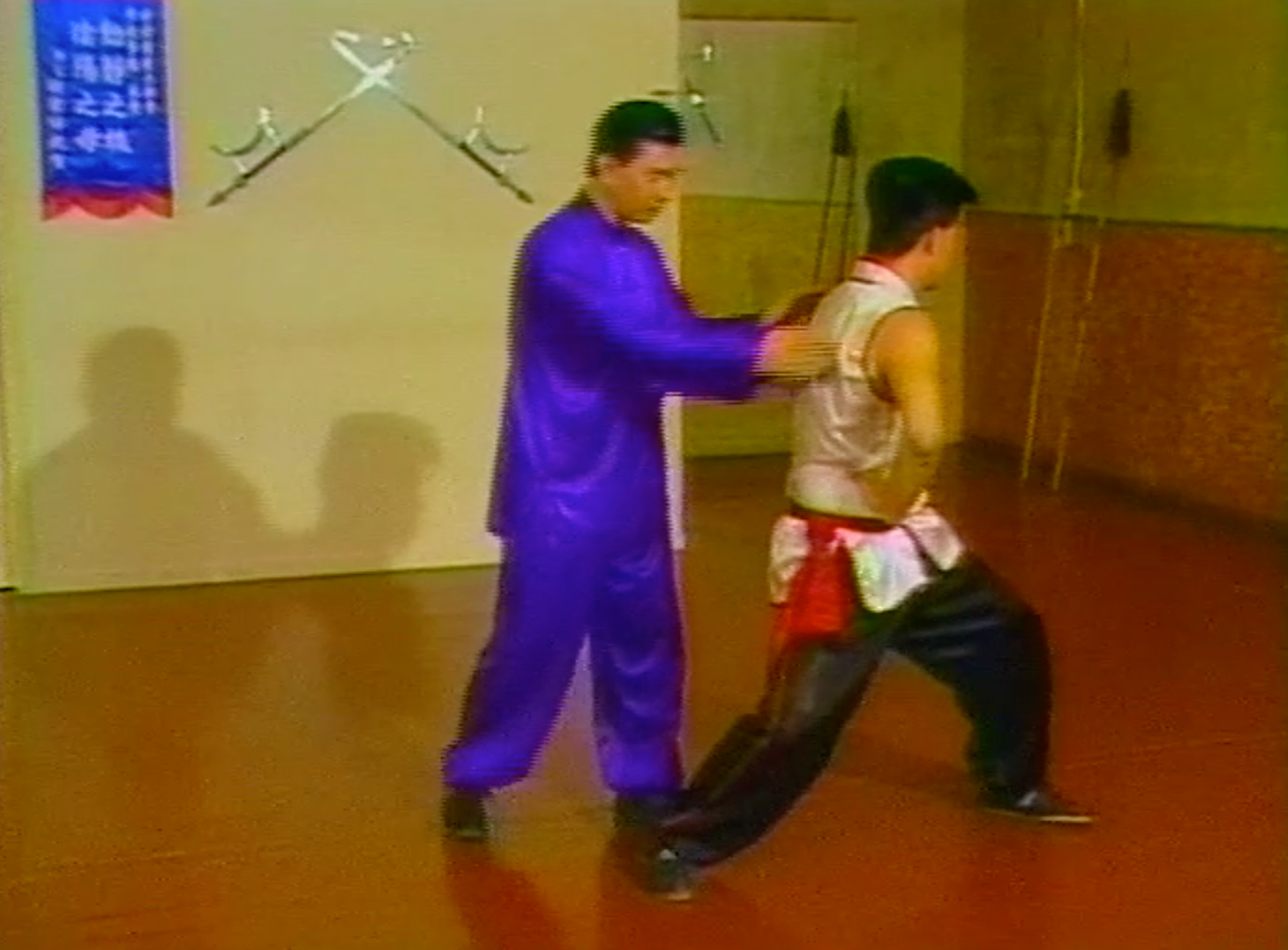 Choy Li Fut Kung Fu 8 DVD Set with Doc Fai Wong - Authentic Chinese Martial Arts Training Videos | Learn Self-Defense Techniques at Home