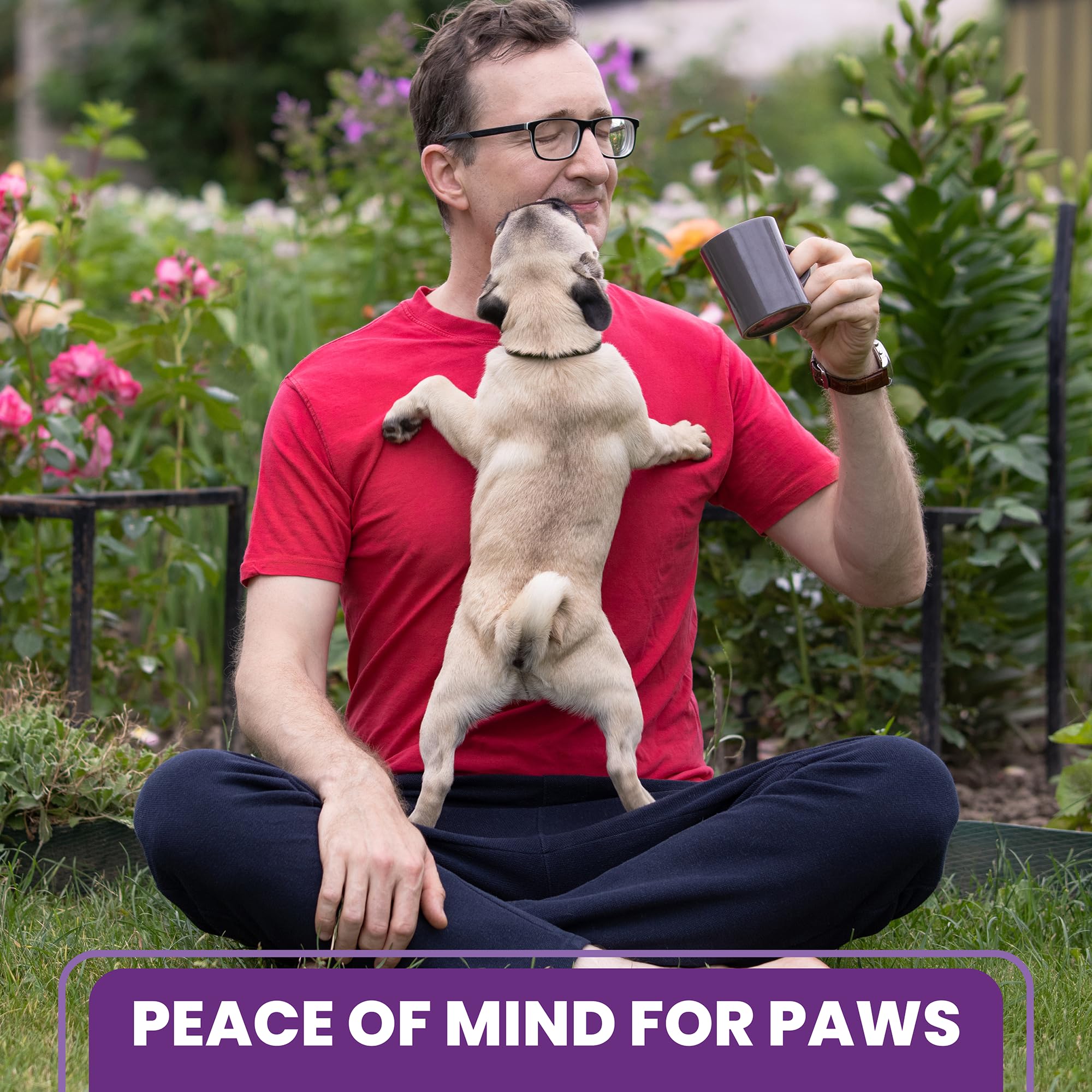Dog Calming Pheromone Diffuser - Advanced Anxiety Relief for Dogs with Appeasing Pheromones - 2 Pack Purple - Perfect for Travel, Vet Visits & Home Stress Relief