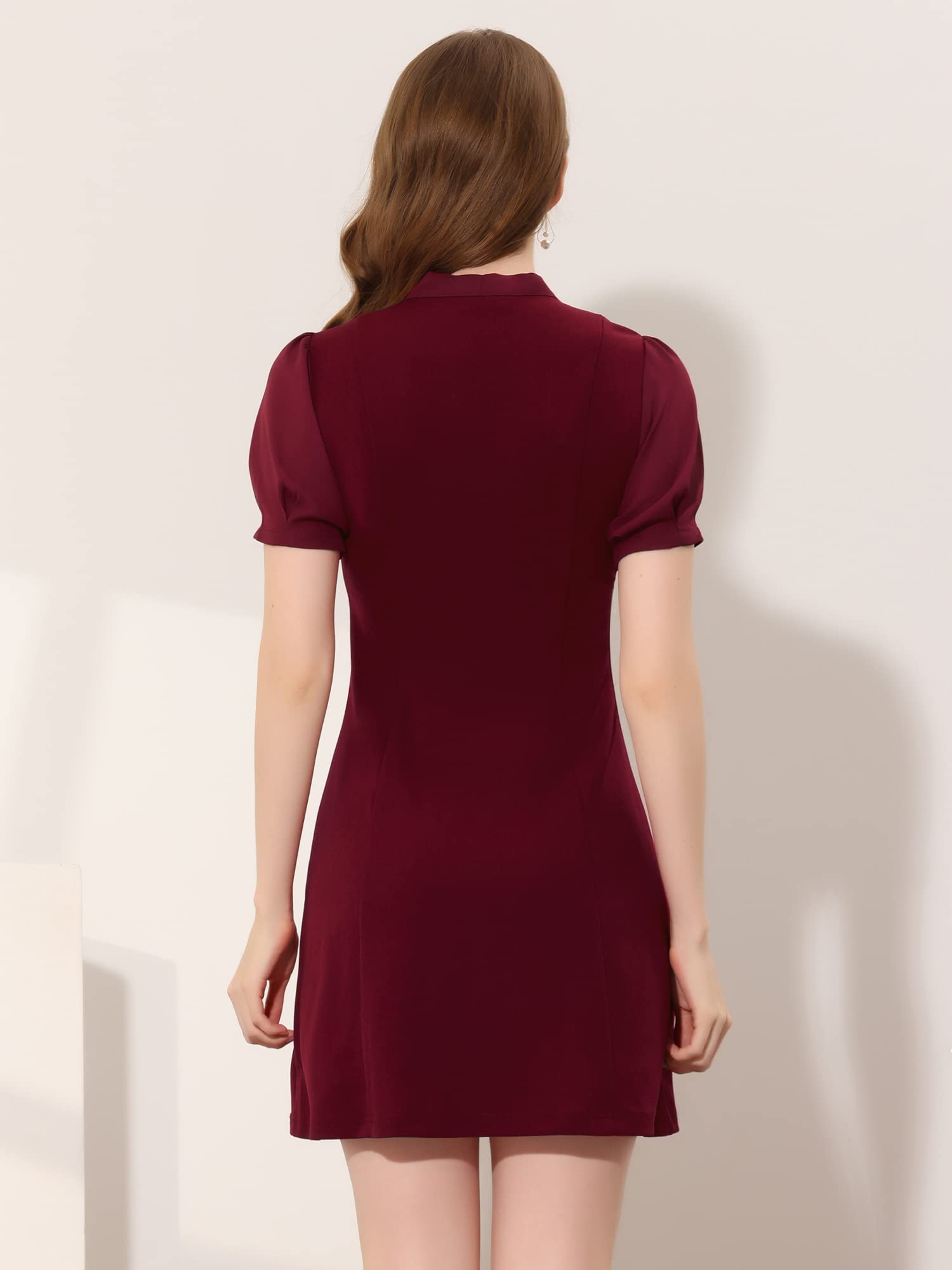 Allegra K Women's Elegant Tie Neck Puff Sleeve Office Dress - Professional Work Attire for Business Meetings & Office Wear