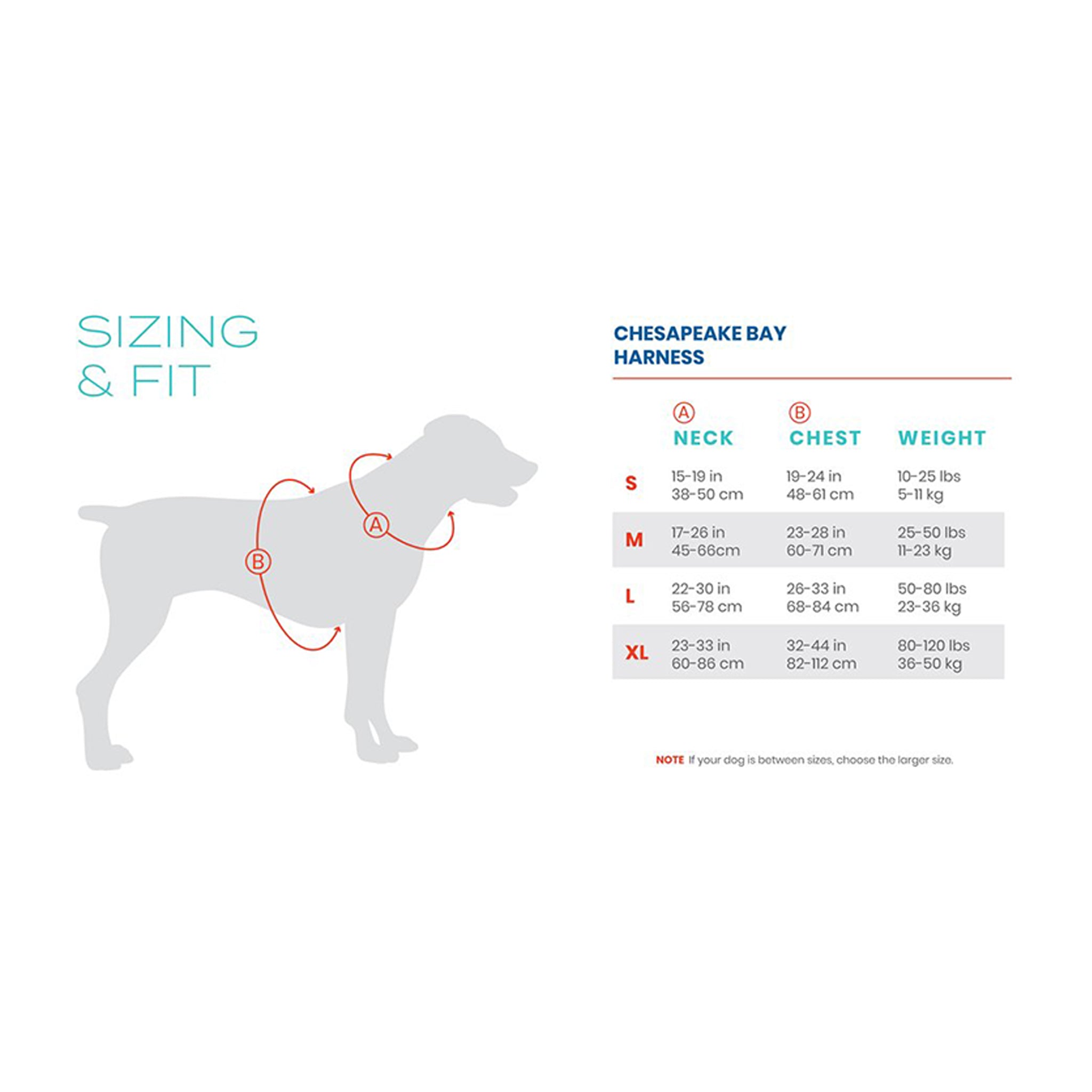 Baydog Chesapeake Harness - Adjustable No-Pull Dog Harness for Large Dogs, Reflective & Padded for Comfort - Perfect for Walking, Running & Outdoor Adventures