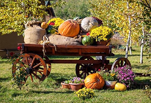 Yeele 10x8ft Autumn Harvest Backdrop - Pumpkin Farm Wooden Cart Photography Background for Thanksgiving Party, Fall Festival Photo Booth Props | Perfect for Studio Shoots, Country Themed Events & Seasonal Decor