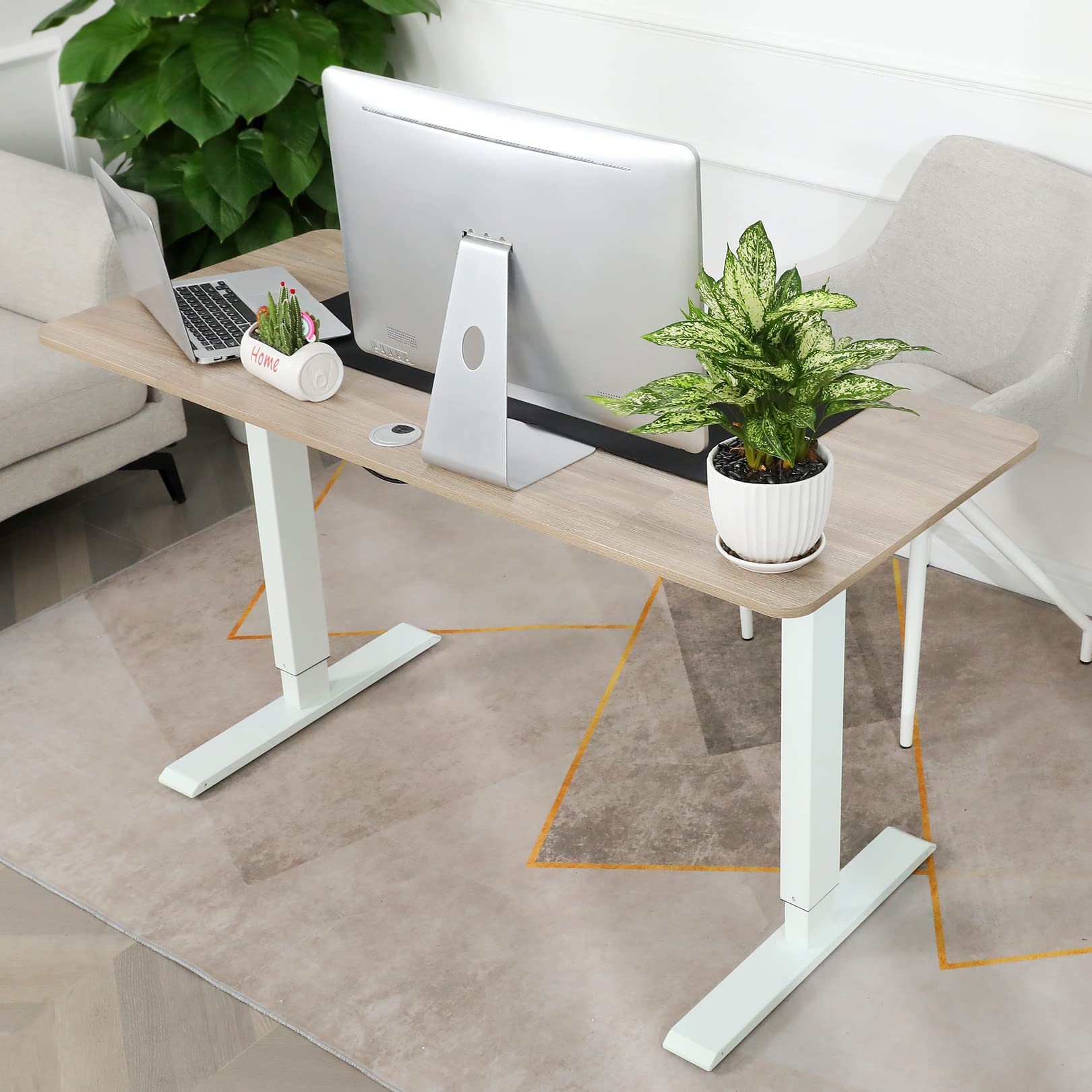 Farexon Electric Standing Desk 55x24 Inches - Adjustable Height Computer Desk with Ergonomic Curved Desktop, Home Office Standing Desk (Oak Gray) | Perfect for Work from Home, Gaming & Study Setup