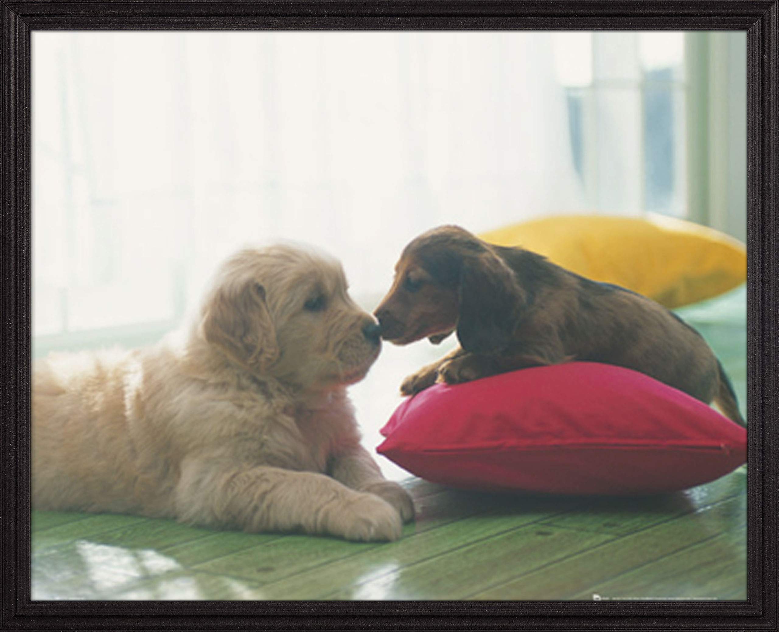 Frame USA Puppies Kiss Poster - 20x16 Inches with Grande Black Frame - Perfect for Home Decor, Living Room, Bedroom & Office Wall Art