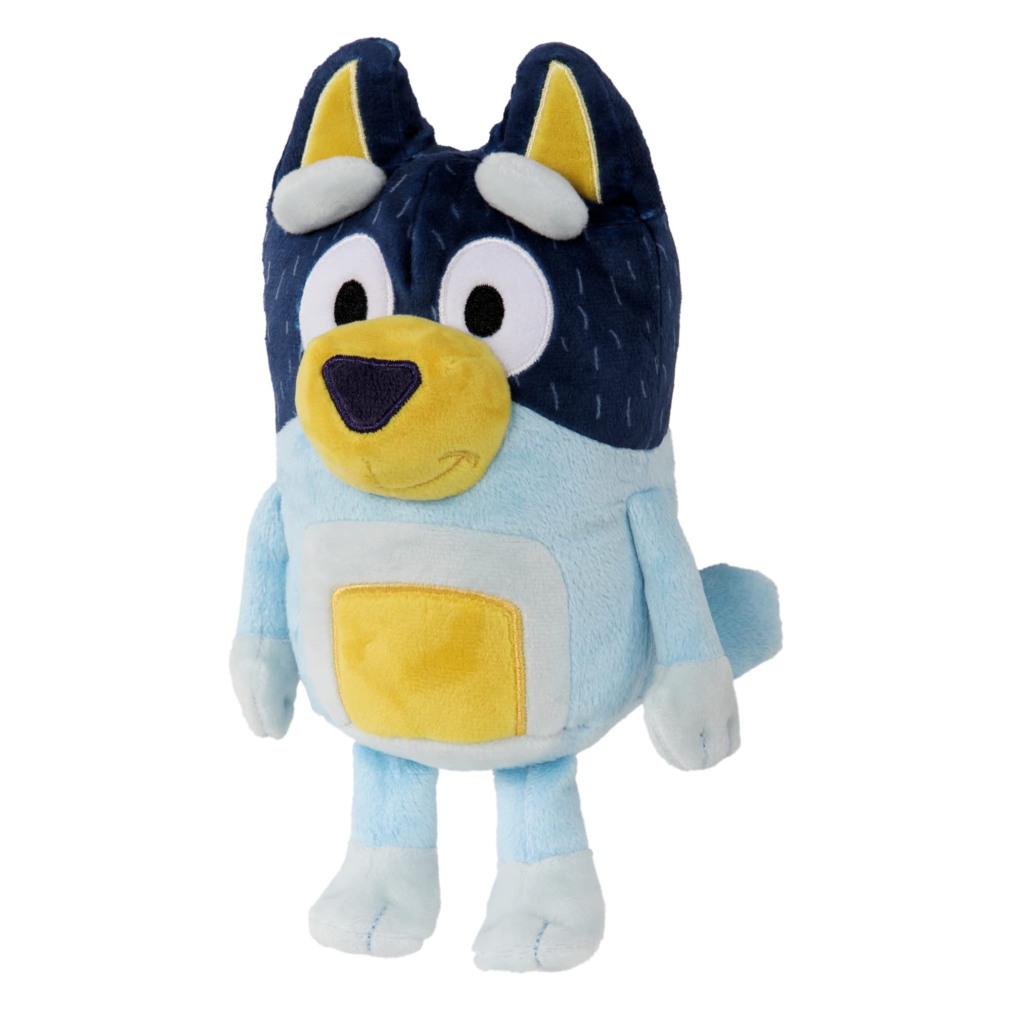 Bluey Dad Bandit 9