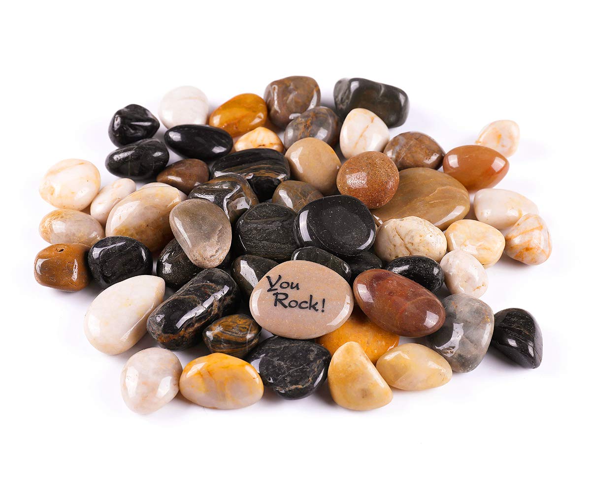 ROCKIMPACT 5.5lb Decorative River Rocks - Polished Pebbles for Landscaping, Planters, Vases & Aquariums | 3/4