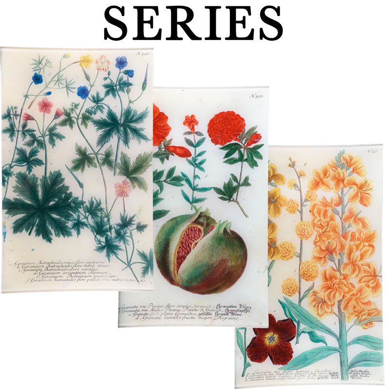 18th Century Botanical Prints - Vintage Floral Wall Art Decor for Home, Office & Gifts | Perfect for Living Room, Bedroom & Study Room Aesthetic