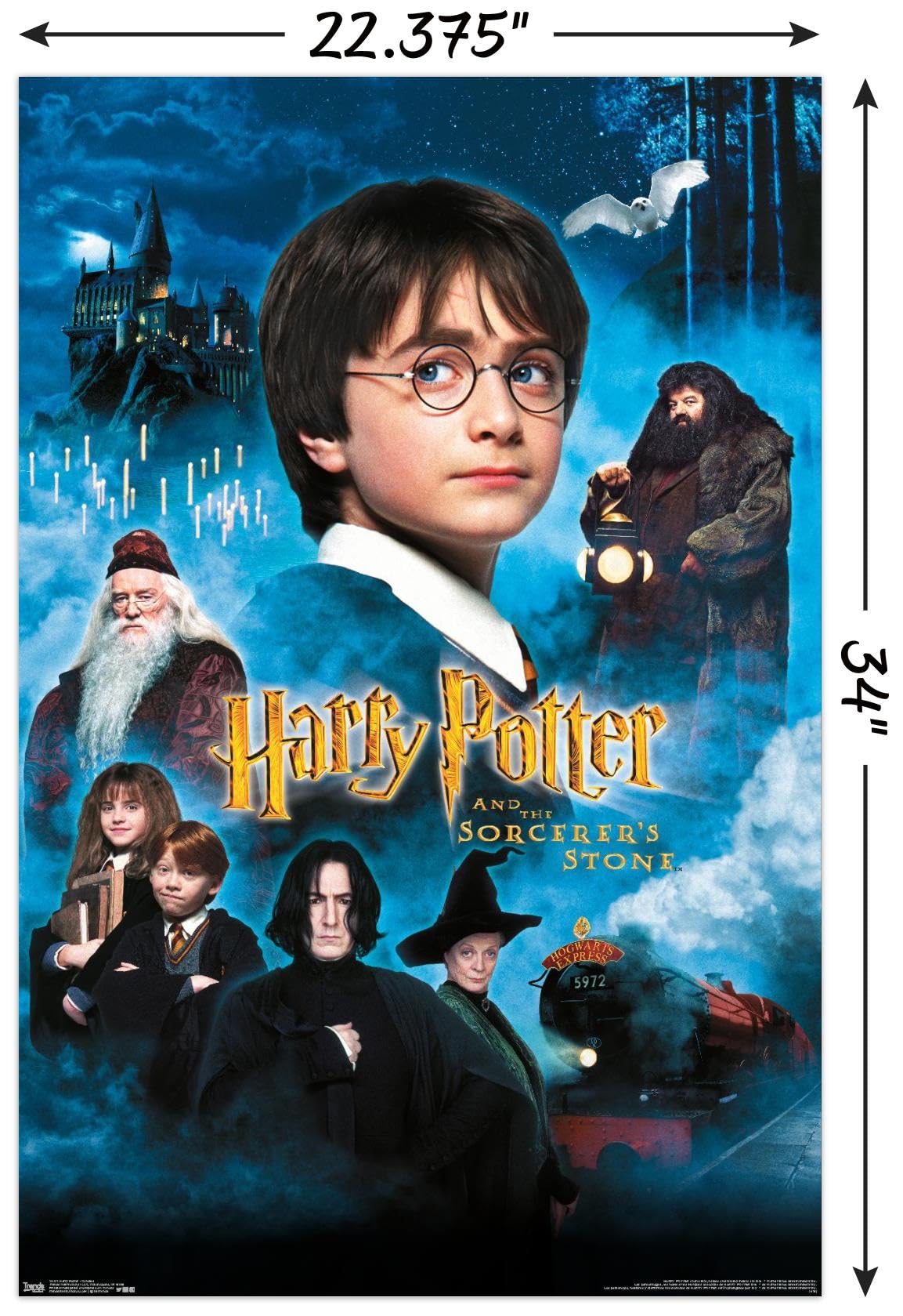Trends International Harry Potter and the Sorcerer's Stone Movie Poster - 22.375