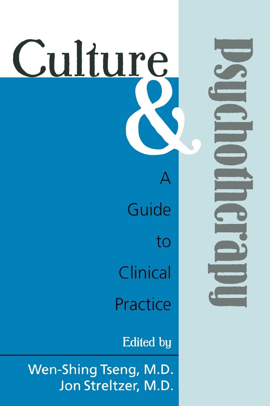 Culture and Psychotherapy: Clinical Practice Guide for Cross-Cultural Therapy | Mental Health Professionals & Counselors