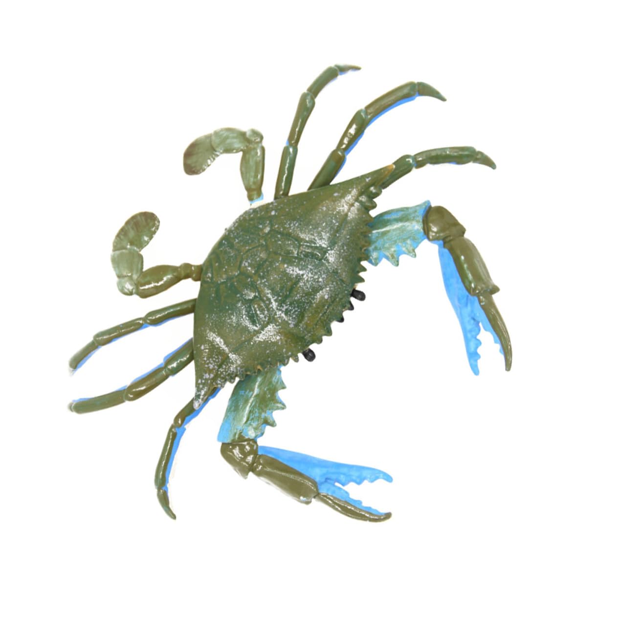 Totority Realistic Plastic Crab Toy - Educational Ocean Animal Figure for Kids, Toddler Playset & Learning Toys - Great for Pretend Play, Classroom Activities & Marine Life Decor