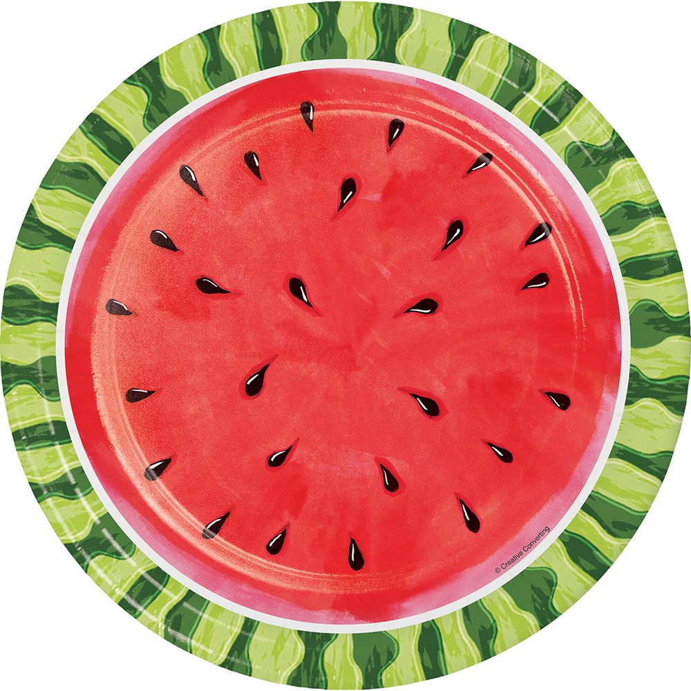 Colorful Paper Dinner Plates for Parties & Events - Creative Converting Disposable Plates for Birthdays, Picnics & BBQs - Eco-Friendly & Vibrant Designs