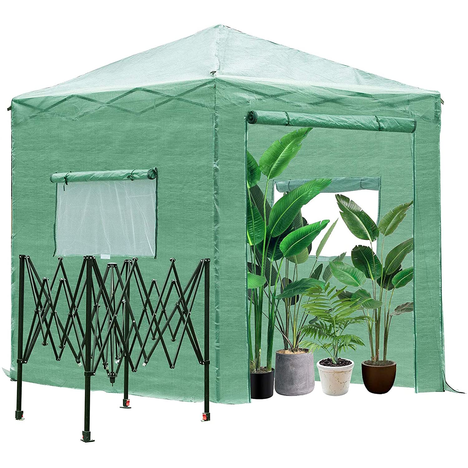 HOMVENT 8' x 6' Portable Walk-in Greenhouse Tent with Entry Doors & Roll-Up Windows - PE Cloth Outdoor Plant Shelter for Garden, Flowers, Vegetables | Perfect for Backyard Gardening, Plant Protection & Seasonal Growing