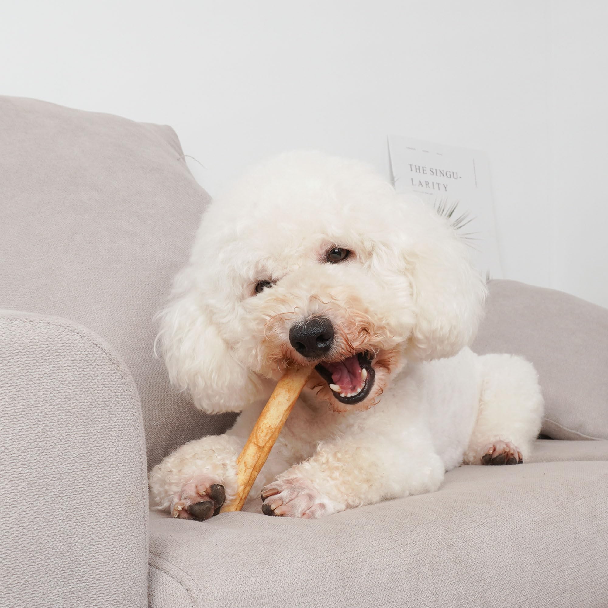 MON2SUN Natural Dog Chews - Chicken Flavor Rawhide Twist Sticks for Puppies & Small Dogs (40 Count) - Healthy Dental Treats for Teething, Training & Playtime