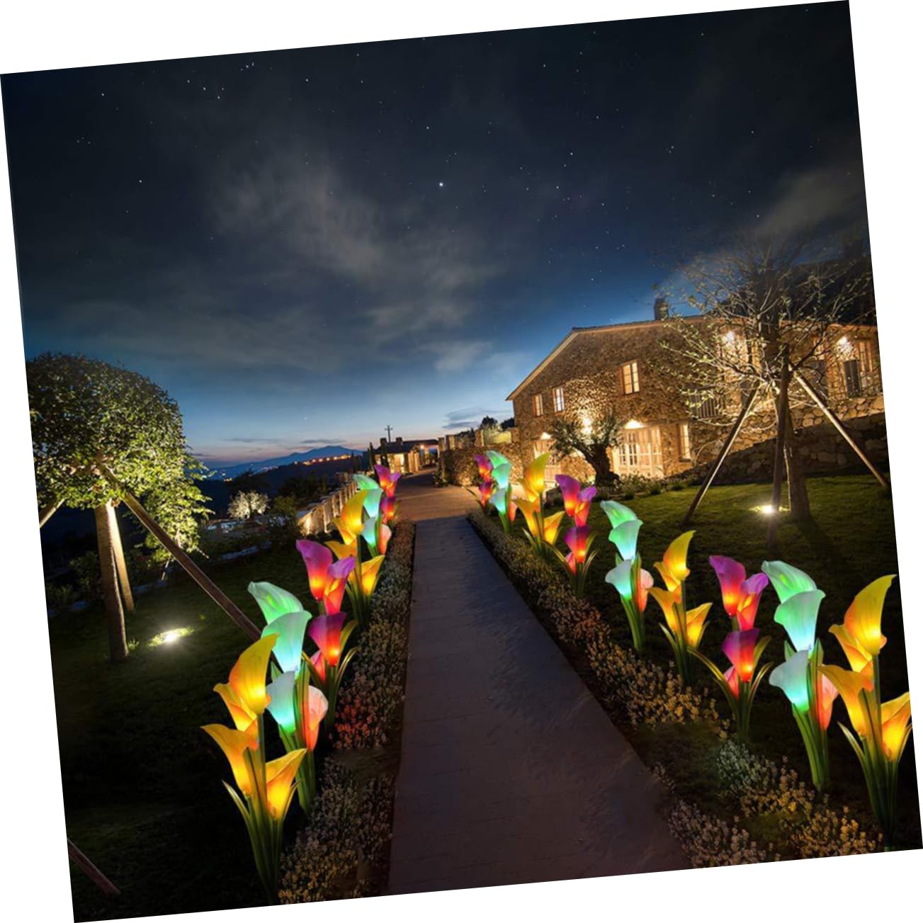 Solar Powered Calla Lily Garden Lights - 2 Pack White & Purple Outdoor Stake Lights for Lawn, Patio, Yard & Pathway Decoration | Weatherproof Solar Flower Lamps for Landscape, Backyard & Garden Decor
