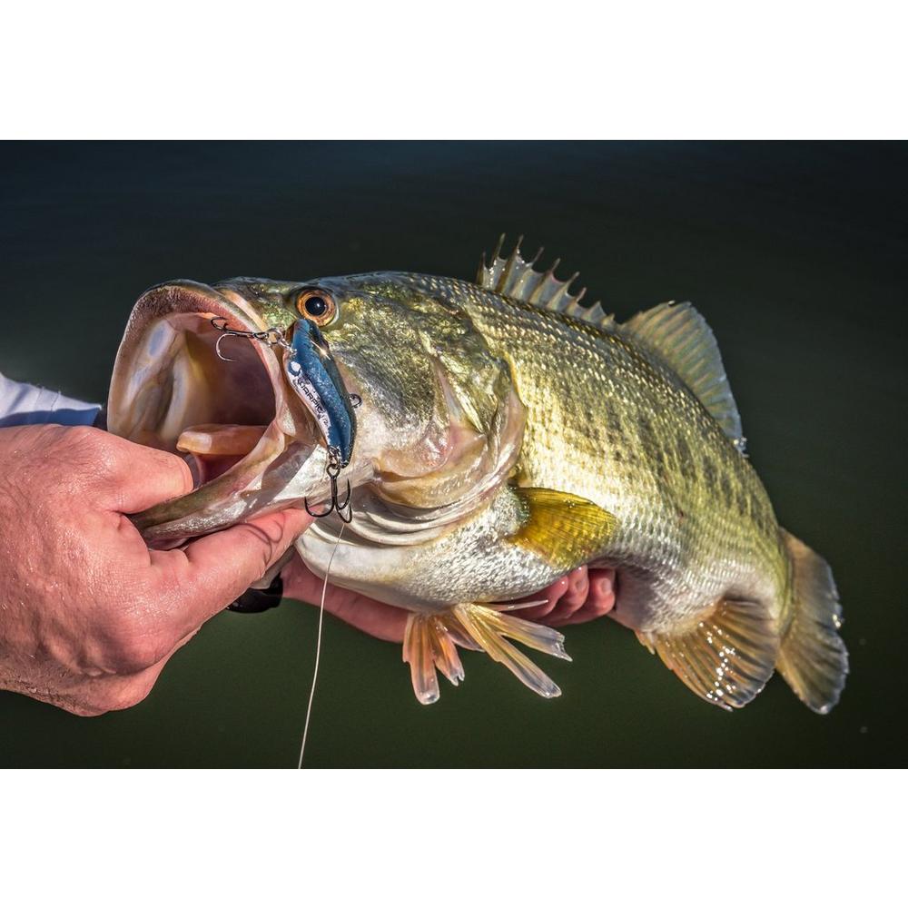 Berkley Warpig Lipless Crankbait Fishing Lure - 2 Inch, Chameleon Pearl Color - Perfect for Bass Fishing in Lakes and Rivers