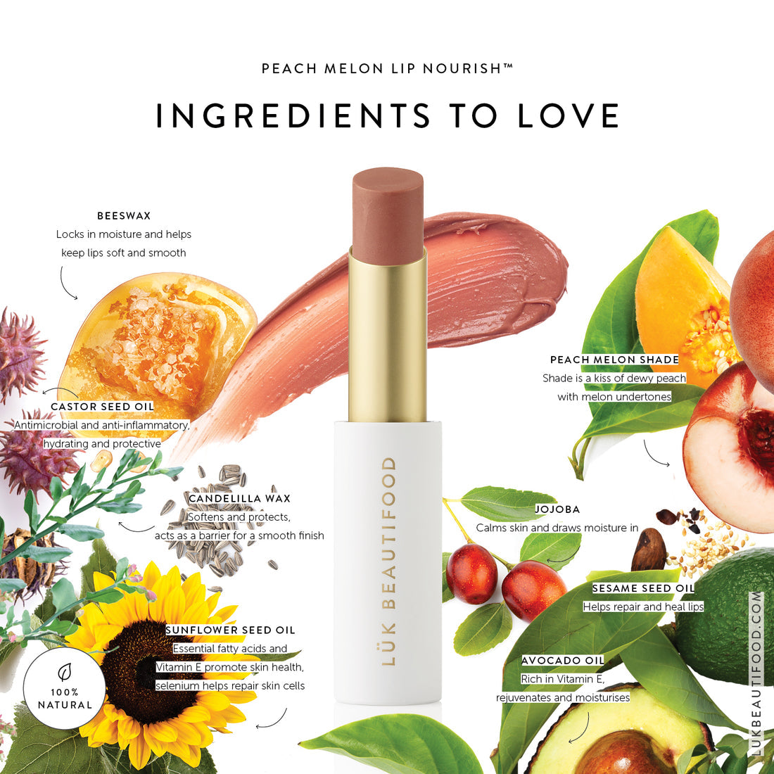Lip Nourish™ Peach Melon Lip Balm - Hydrating & Moisturizing for Dry Lips - Perfect for Daily Use, Travel & Outdoor Activities