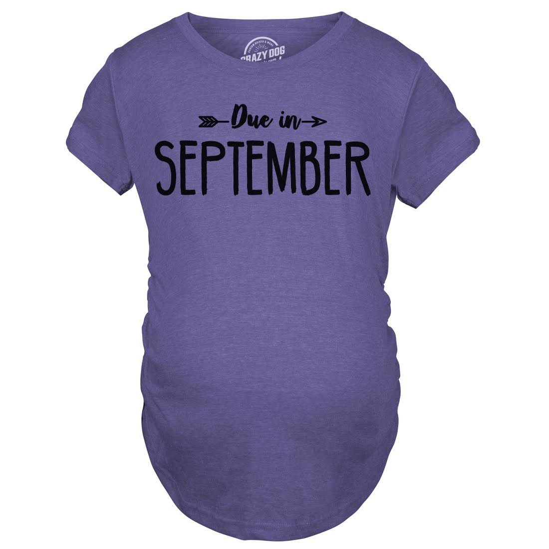 Funny Pregnancy Announcement T-Shirt - September Due Date Maternity Tee for Expecting Moms | Cute Baby Shower Gift & Gender Reveal Outfit