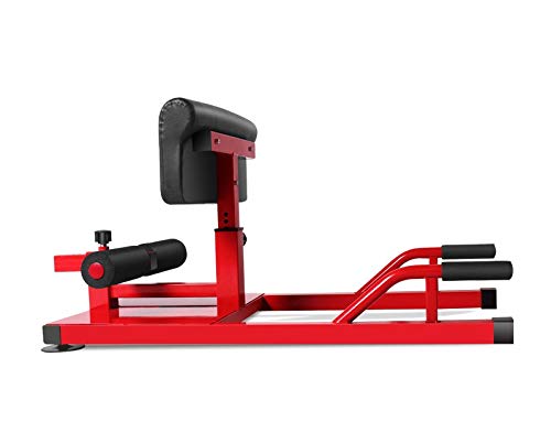 X-Factor Home Gym Sissy Squat Trainer for Abs, Legs & Full Body Workout - Strength Training Equipment for Home Fitness & Muscle Building | Perfect for Home Gym, CrossFit & Functional Training
