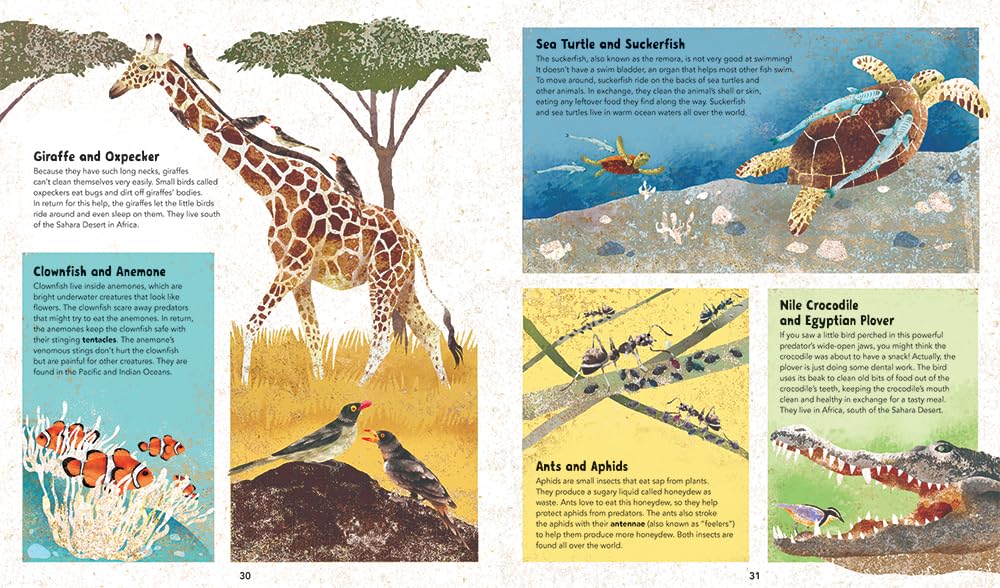 Barefoot Books Incredible Animals - Educational Wildlife Books for Kids | Perfect for Homeschooling, Classroom Learning & Bedtime Stories