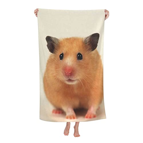 One Hamster