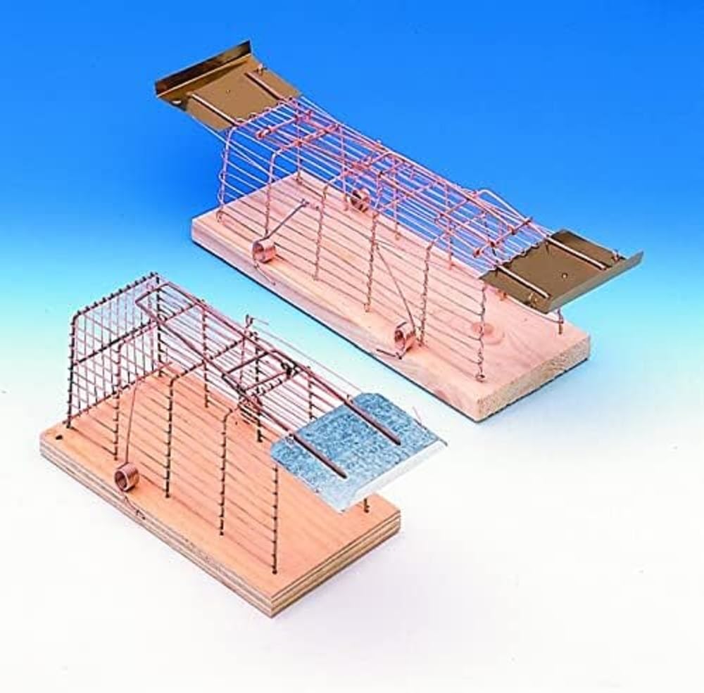 Humane Rat Trap with 2 Entrances - Safe & Effective Live Catch Box for Rats and Mice - Ideal for Home, Garage, and Garden Pest Control