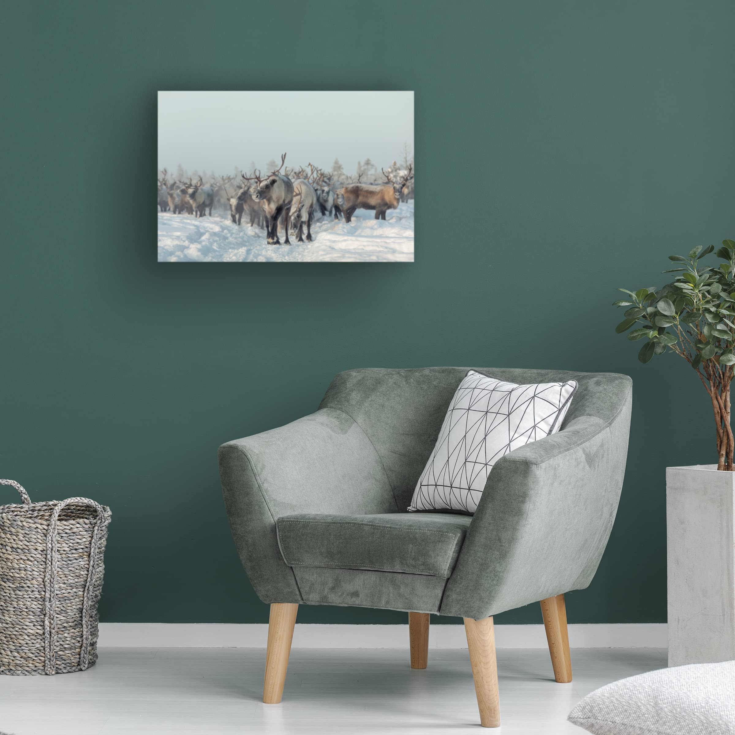Trademark Fine Art 'Reindeers' Canvas Wall Art by Patrik Minar - Perfect for Christmas Decor, Living Room & Bedroom