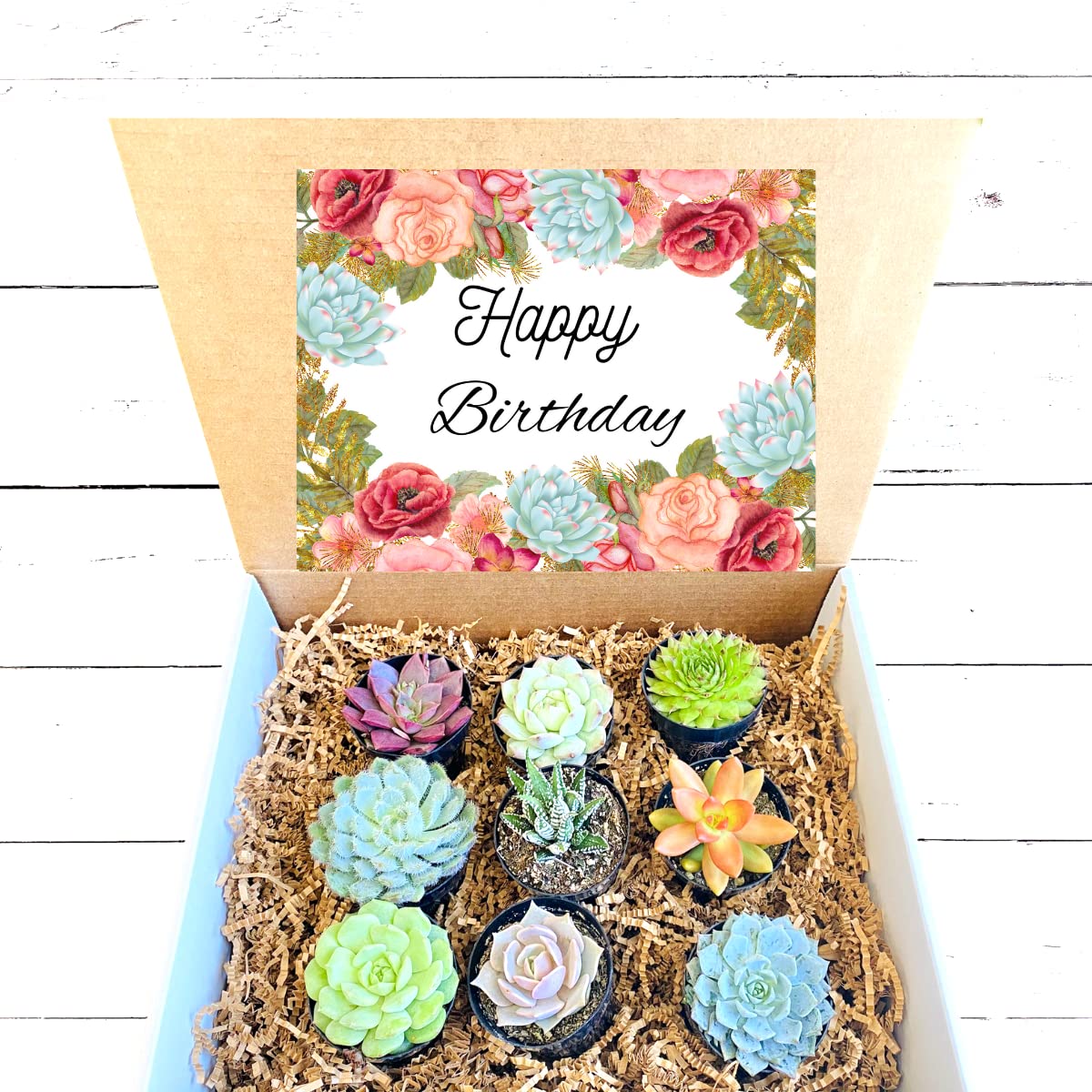 Best Happy Birthday Gifts for Women - Beautiful Succulent Gift Box Set for Plant Lovers | Unique Birthday Flowers Delivery | Perfect for Home Decor, Office Desk & Special Occasions